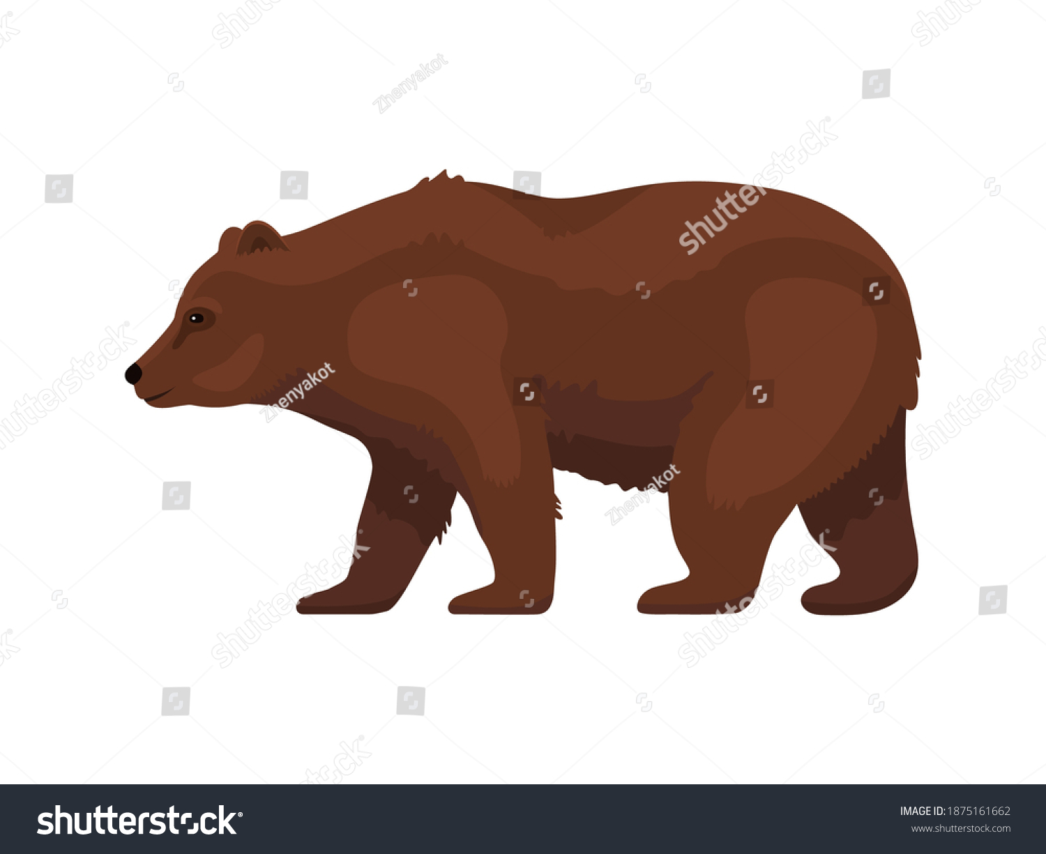 Grizzly Bear Side View Isolated On Stock Vector (Royalty Free) 1875161662