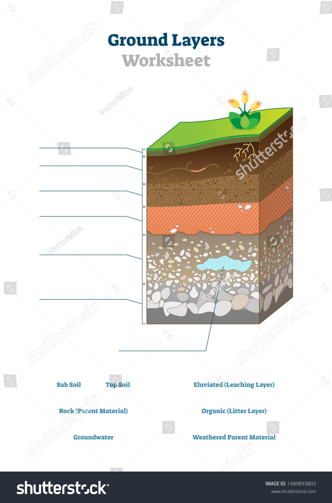 Ground Layers Worksheet Vector Illustration Soil Stock Vector For Layers Of Soil Worksheet