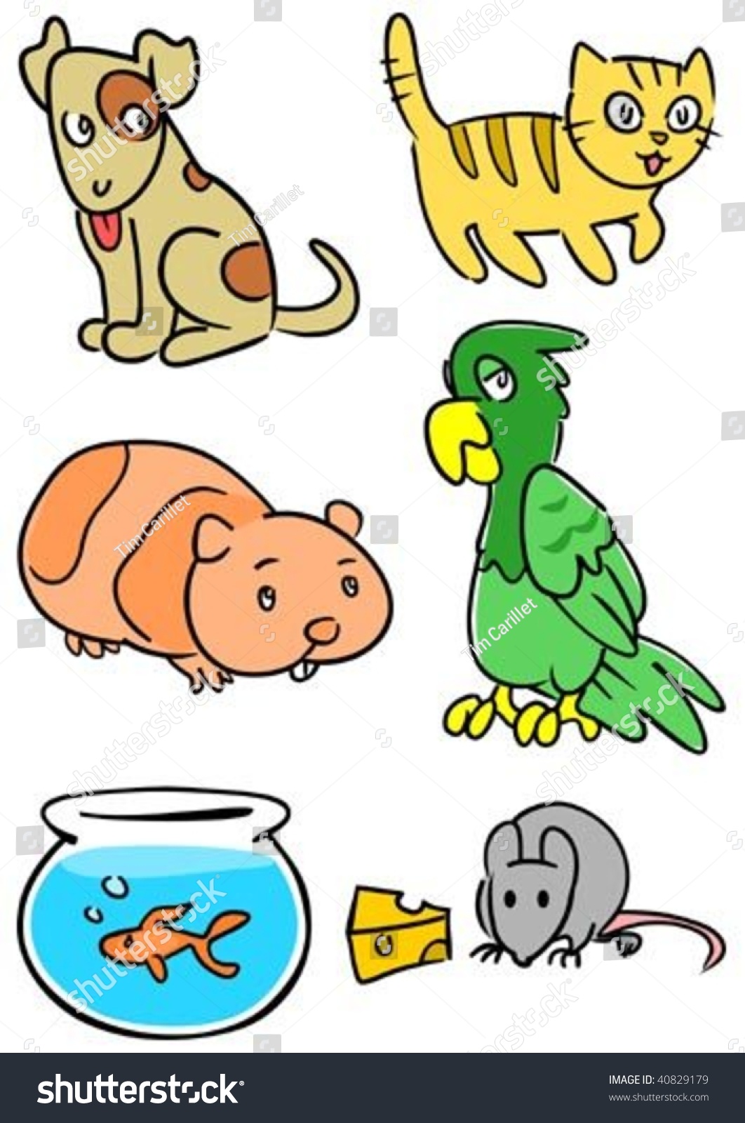 Group Of Common Pets Including Dog, Cat, Hamster, Parrot, Fish And ...