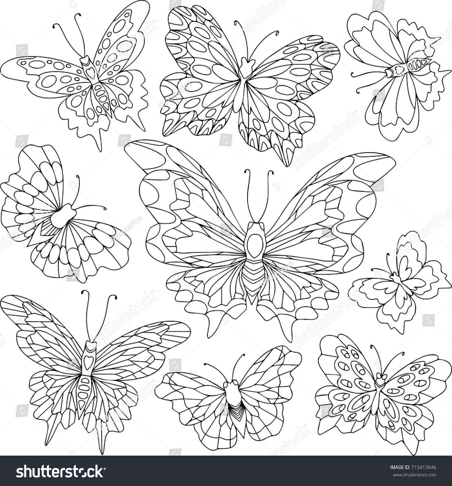 Group Different Butterflies Black White Linear Stock Vector (Royalty ...