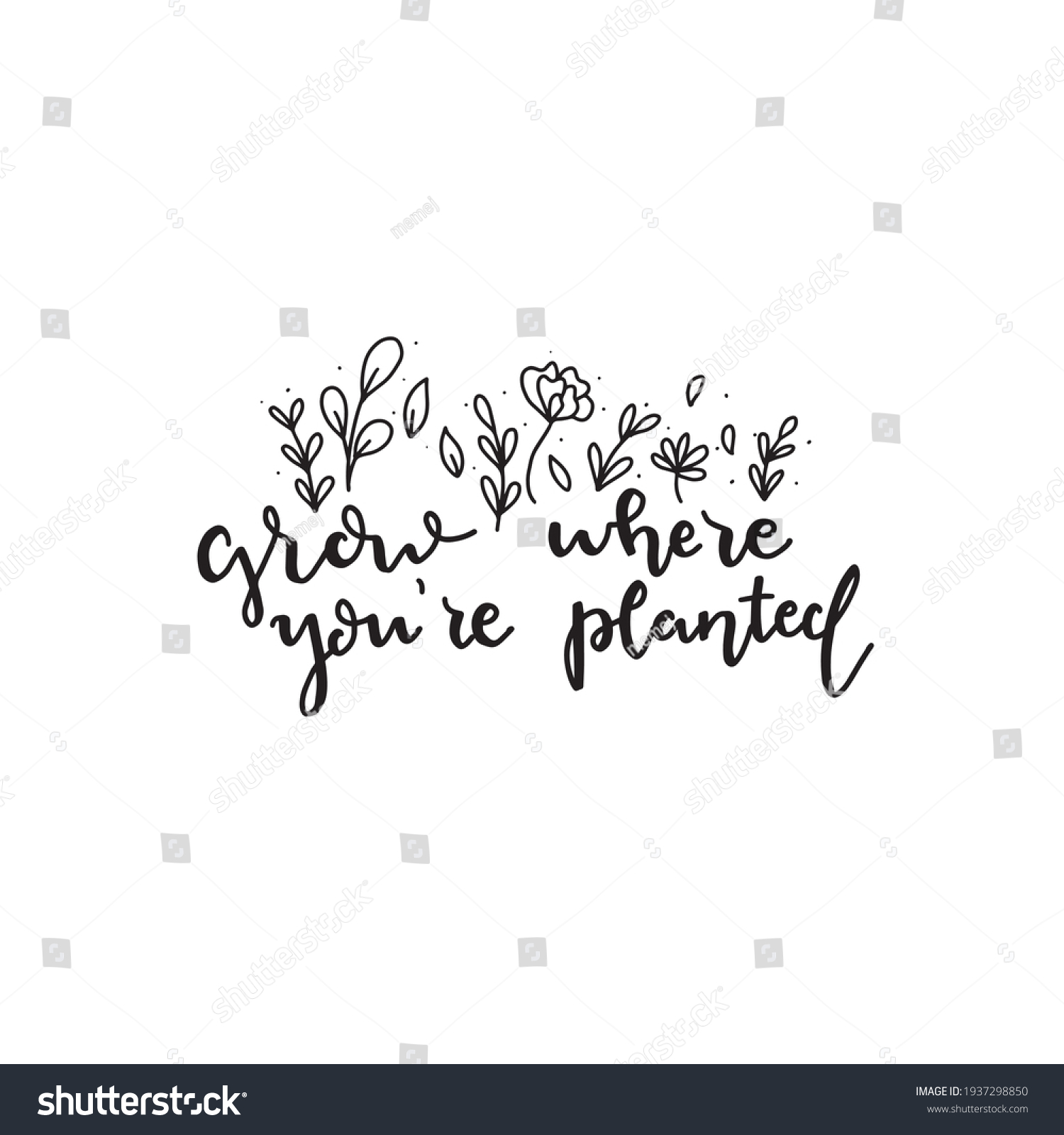 Grow Where Youre Planted Calligraphic Hand Stock Vector (Royalty Free ...