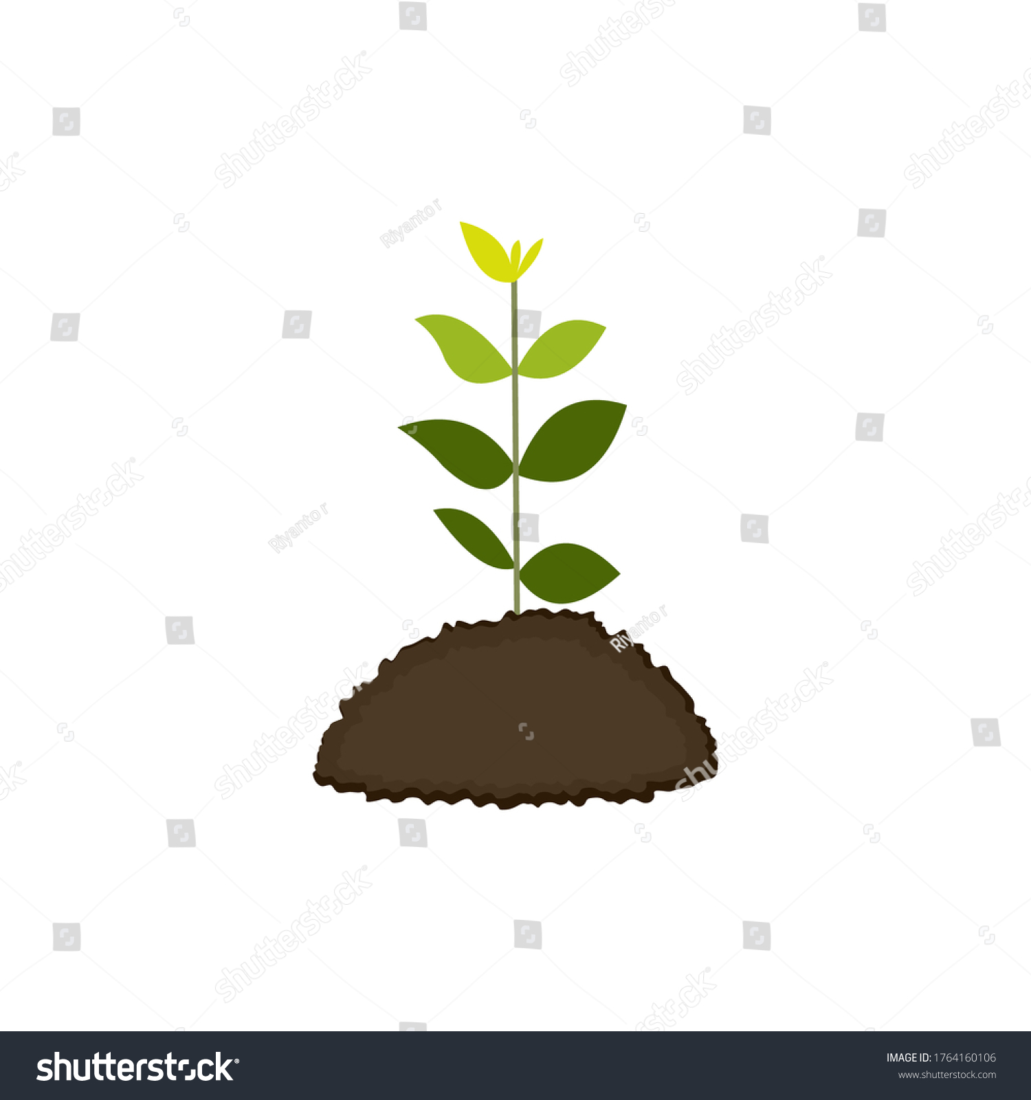 Growth Plant Sprout Vegetable Planting Tree Stock Vector Royalty Free