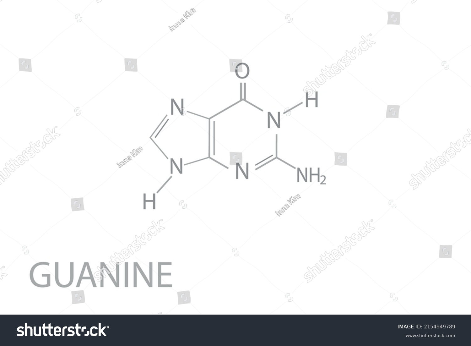 Guanine Molecular Skeletal Chemical Formula Stock Vector Royalty Free 2154949789 Shutterstock 1031