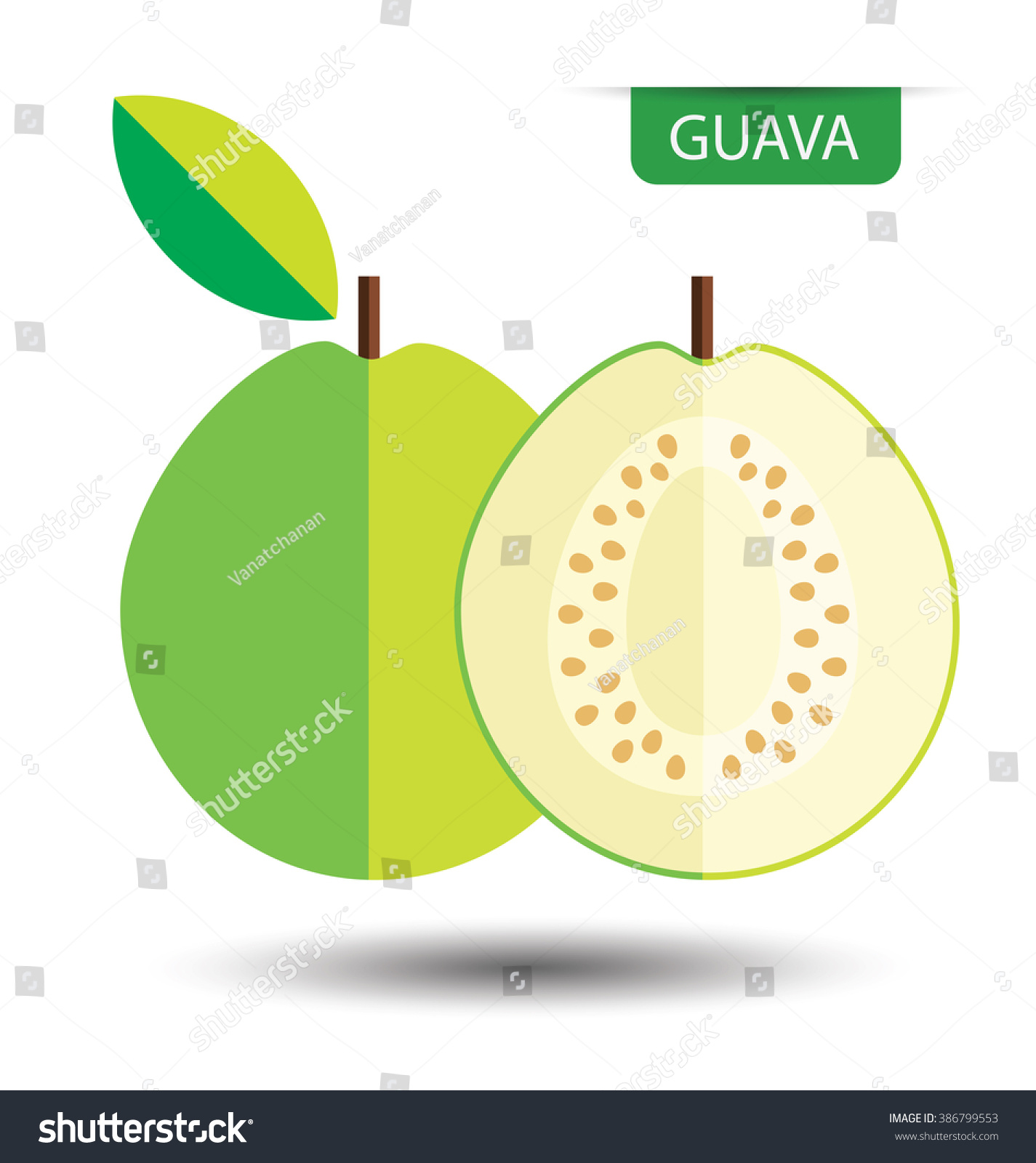 Guava Fruit Vector Illustration Stock Vector (Royalty Free) 386799553 ...