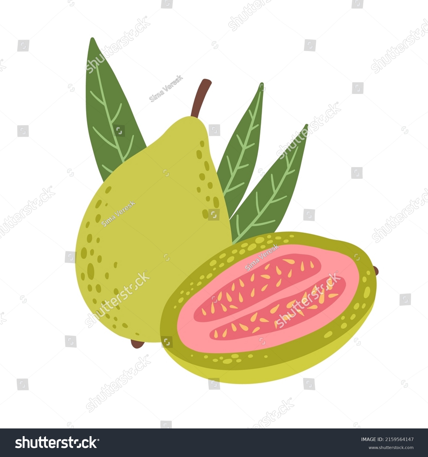 Guava Fruits Whole Cut Exotic Fruits Stock Vector (Royalty Free ...