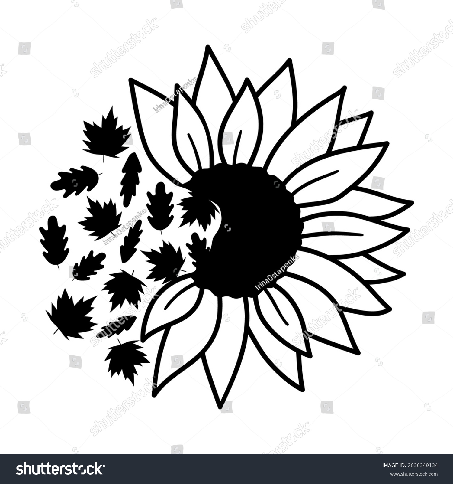 SVG of Half of sunflower. Fall leaves. Vector autumn illustration.  Isolated on white background. Good for posters, t shirts, postcards. svg