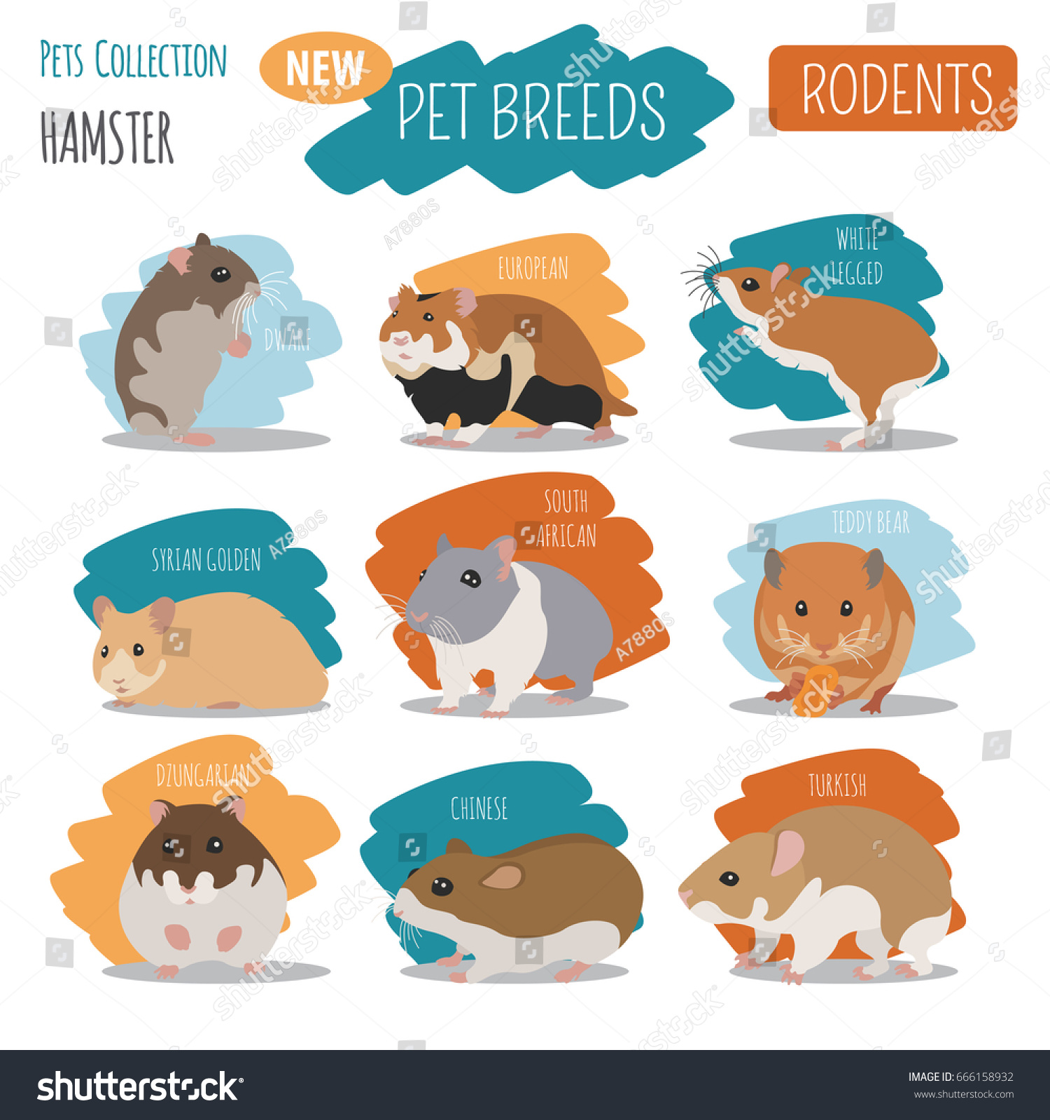 all hamster breeds