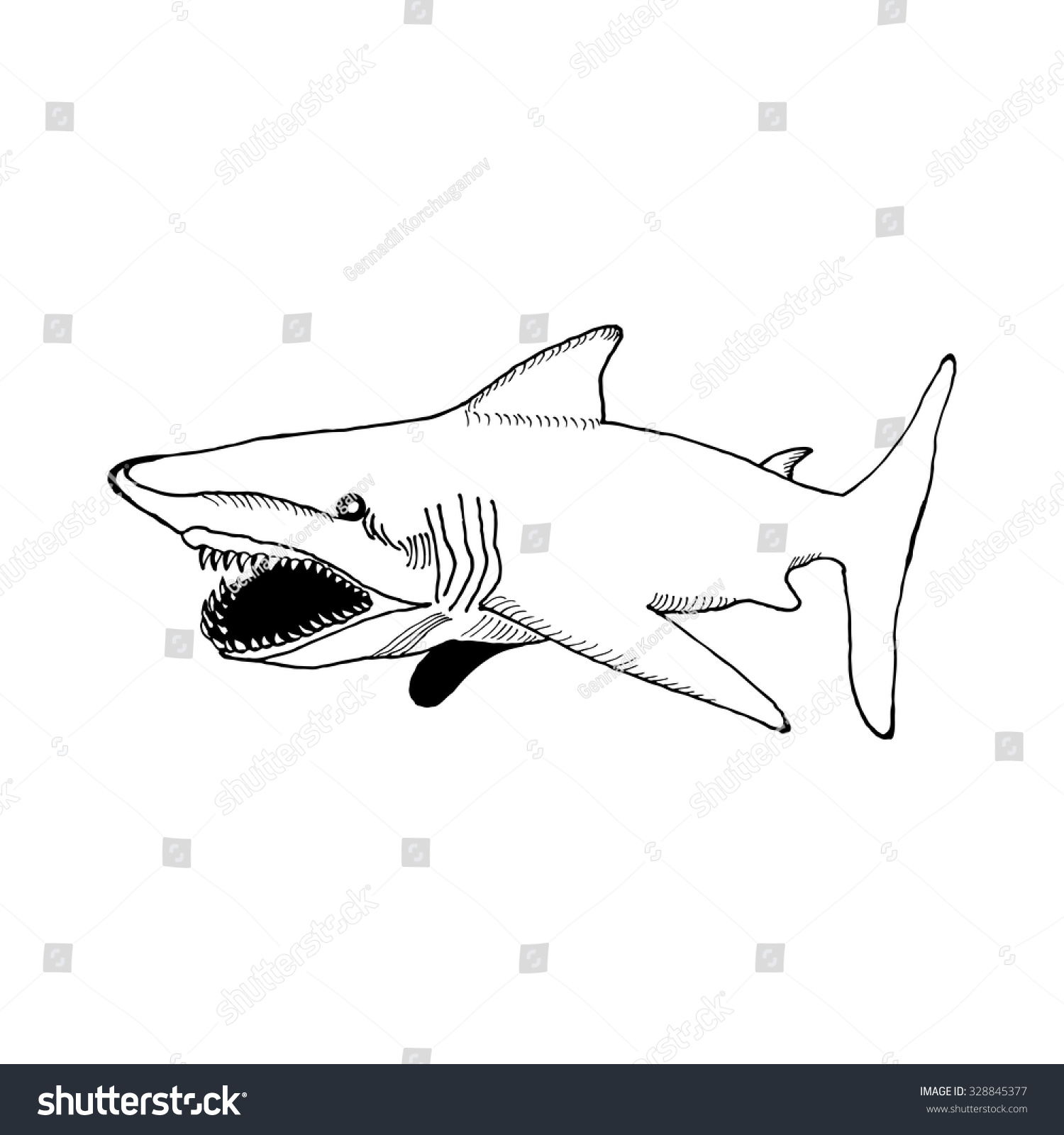 Hand Draw A Shark With An Open Mouth And Sharp Teeth In The Style Of A ...