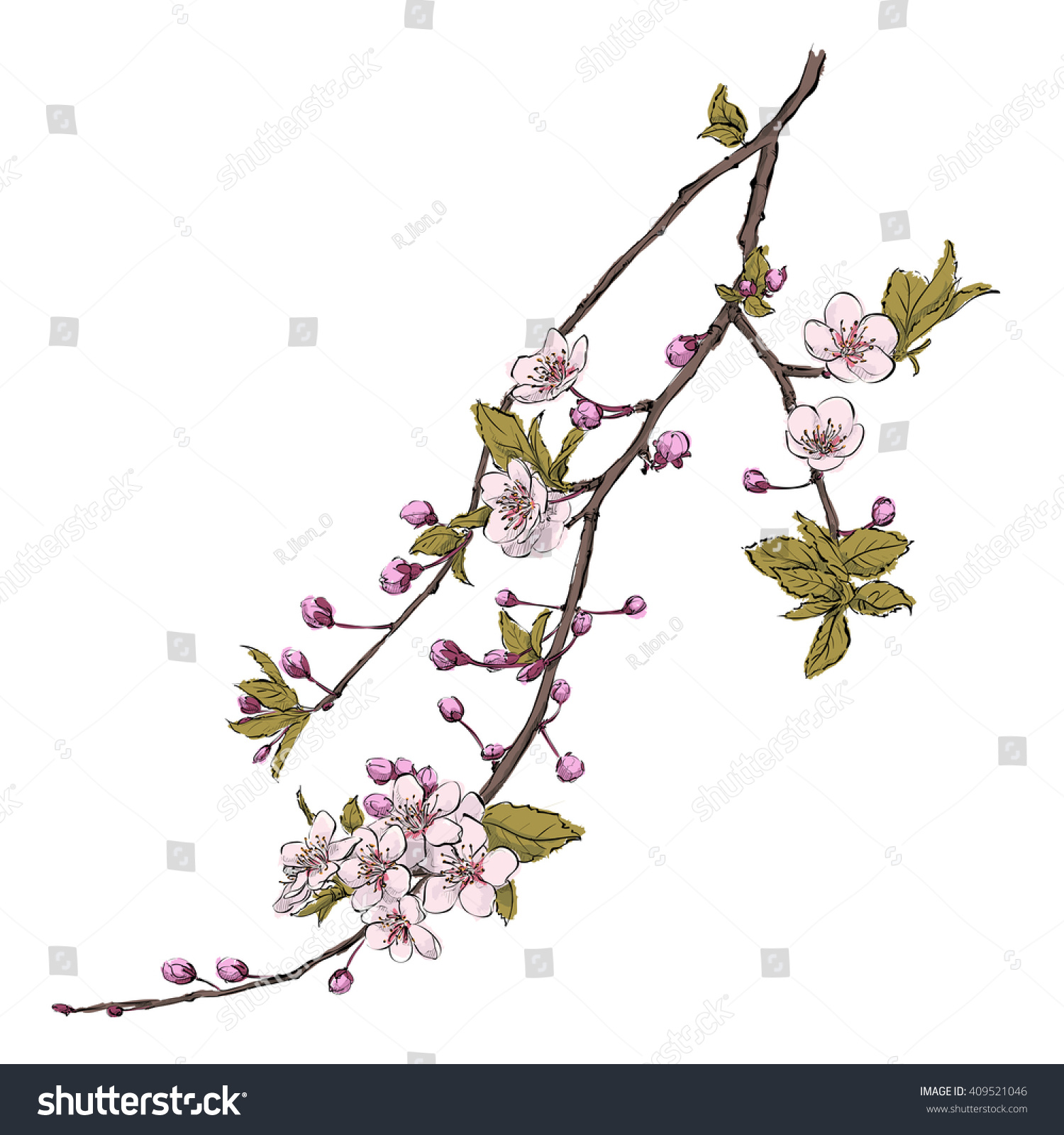 Hand Draw Flower Vector Illustration Stock Vector 409521046 - Shutterstock