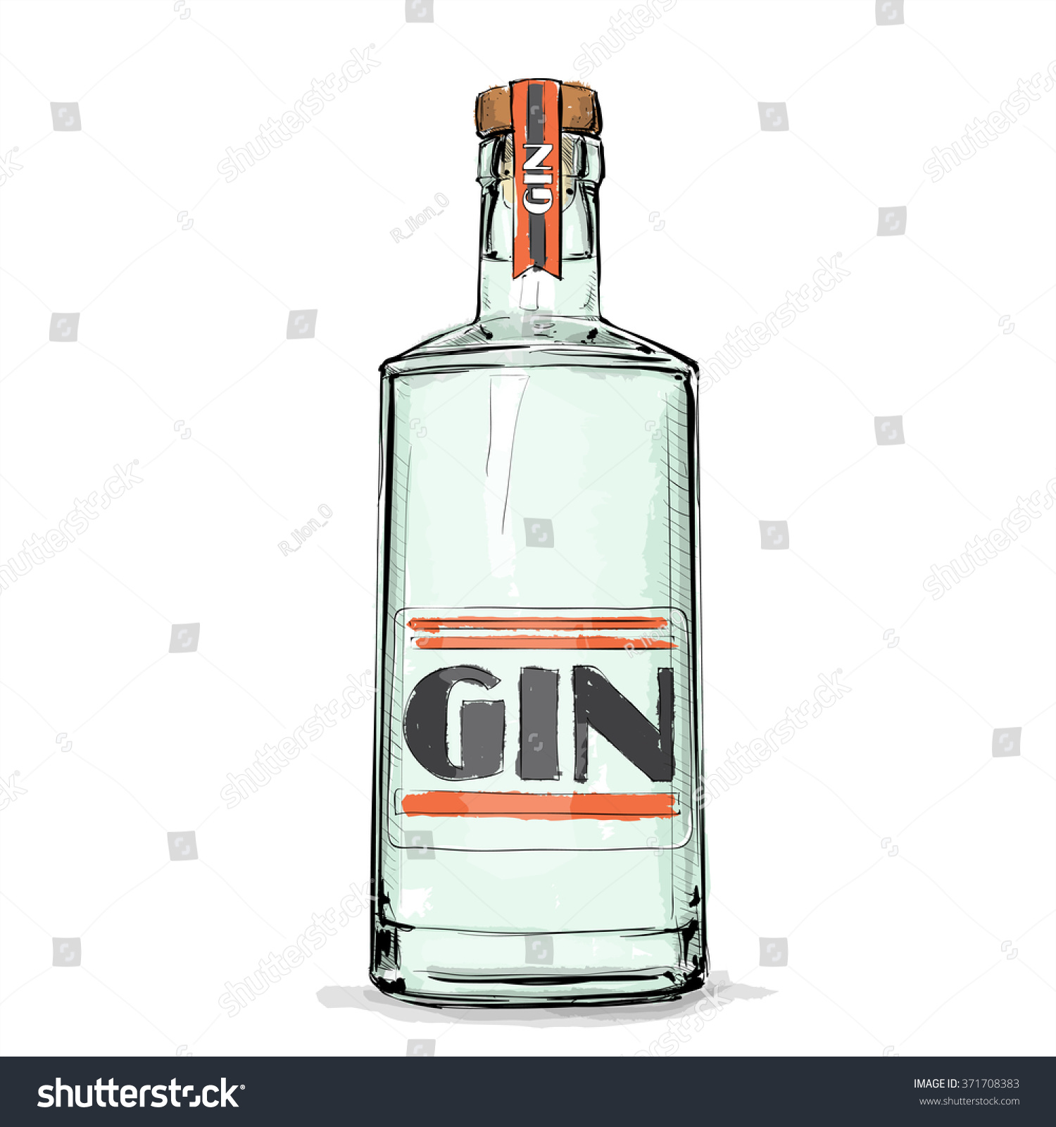 vector bottle gin Vector Gin Vector Stock Hand Illustration Draw Bottle