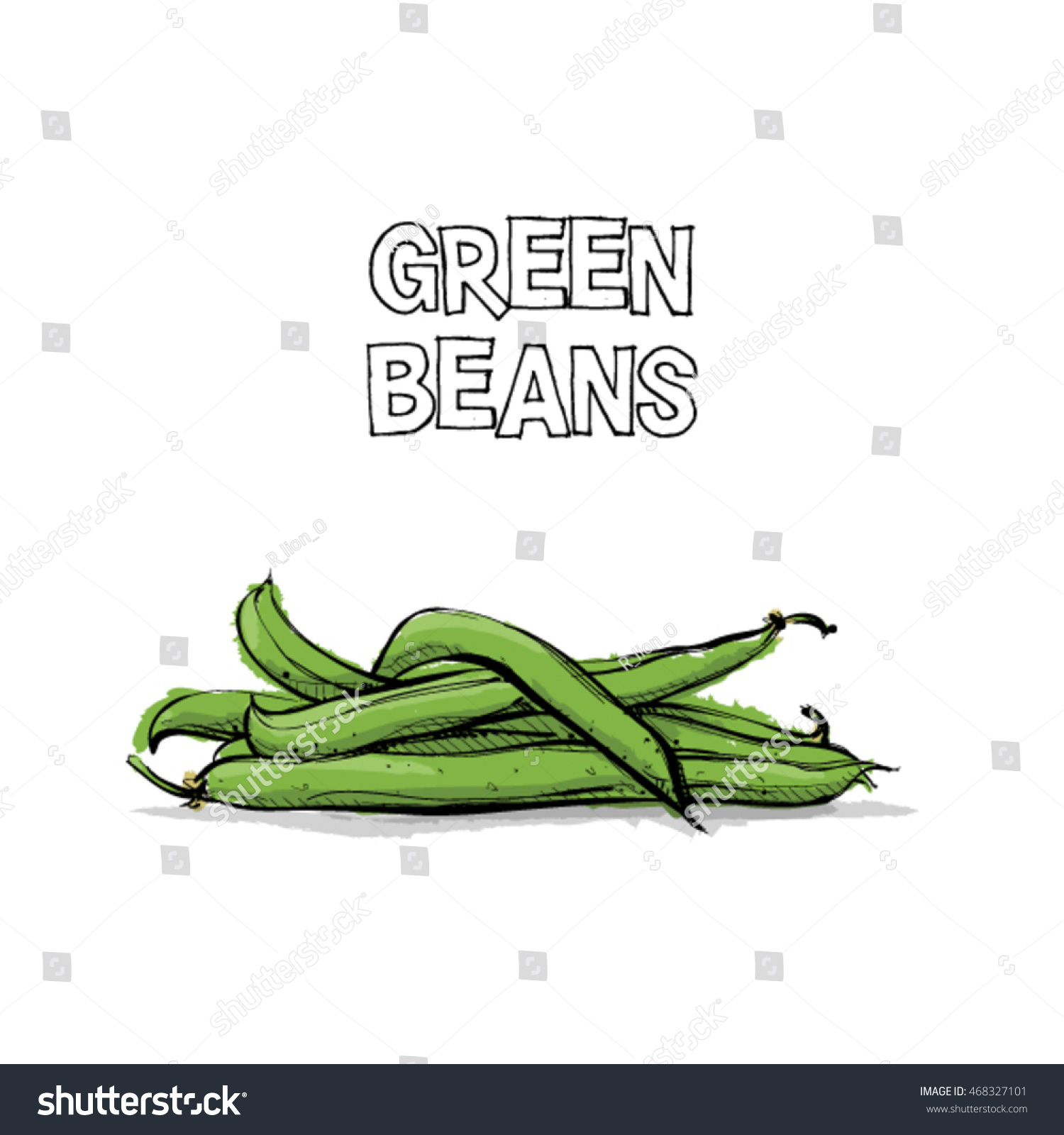 Hand Draw Green Beans Vector Illustration Stock Vector (Royalty Free