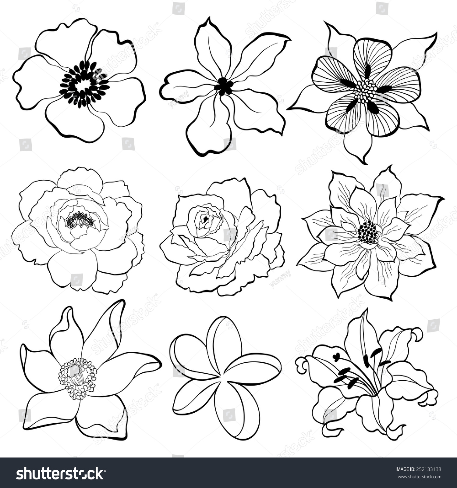 Handdrawing Flower Black White Stock Vector (Royalty Free) 252133138