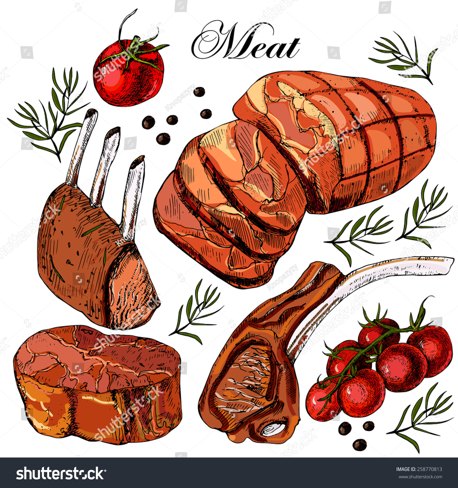 Hand Drawing Meat Vector Illustration Stock Vector (Royalty Free ...