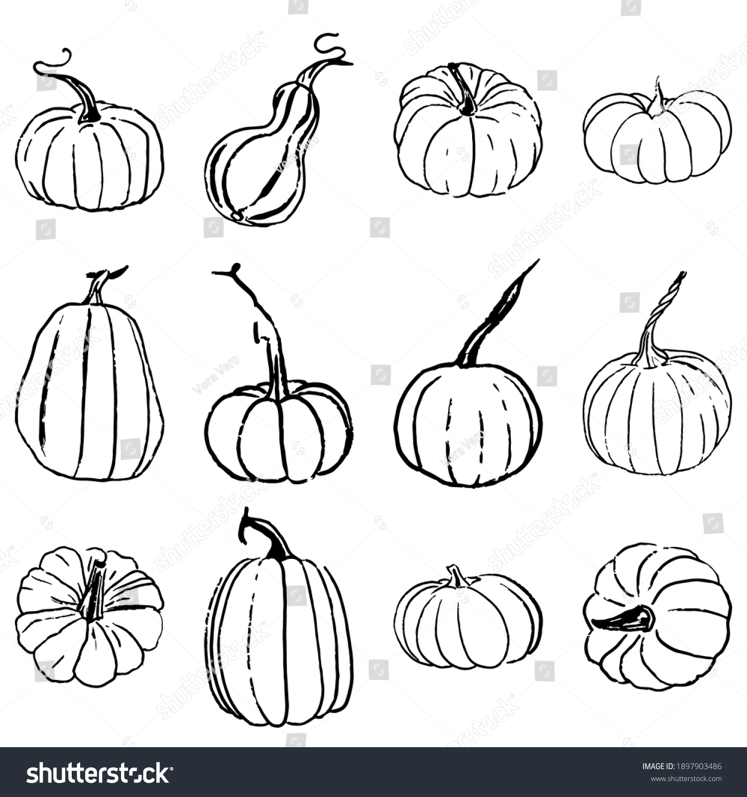 Hand Drawing Pumpkins Set Vector Illustration Stock Vector (royalty 