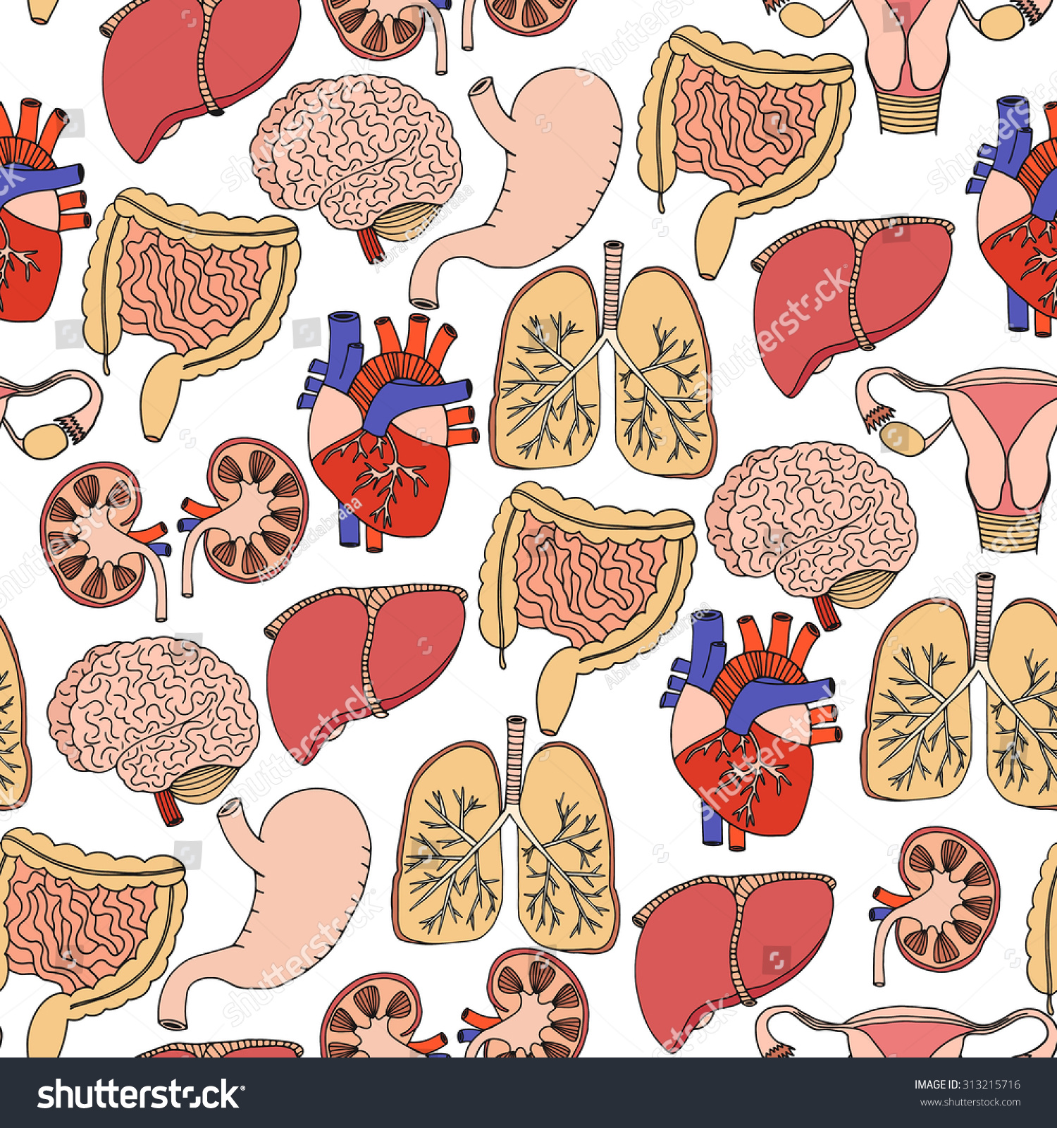 Hand Drawn Anatomy Seamless Pattern Internal Organs: Stomach, Heart ...