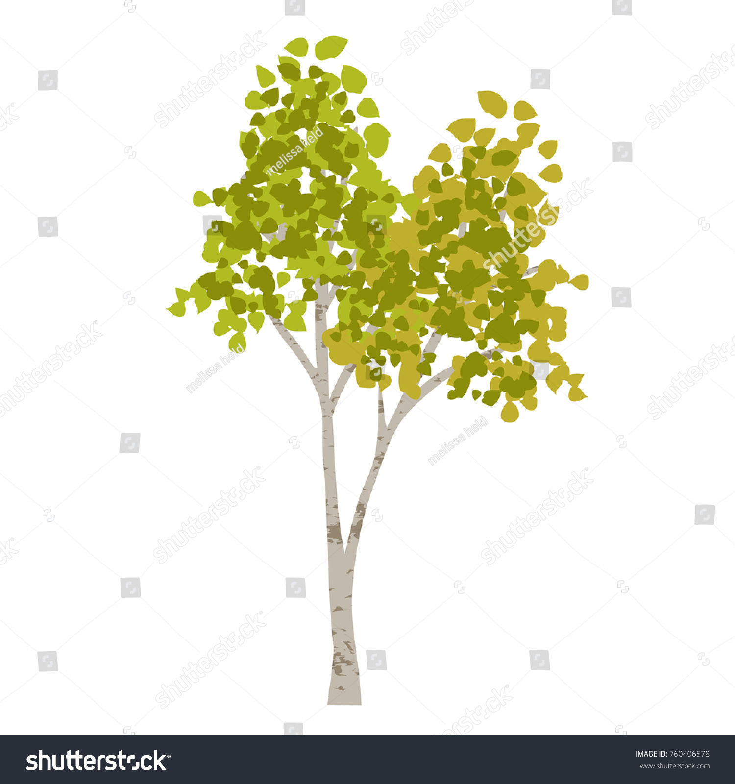 SVG of hand drawn aspen birch vector tree clipart svg