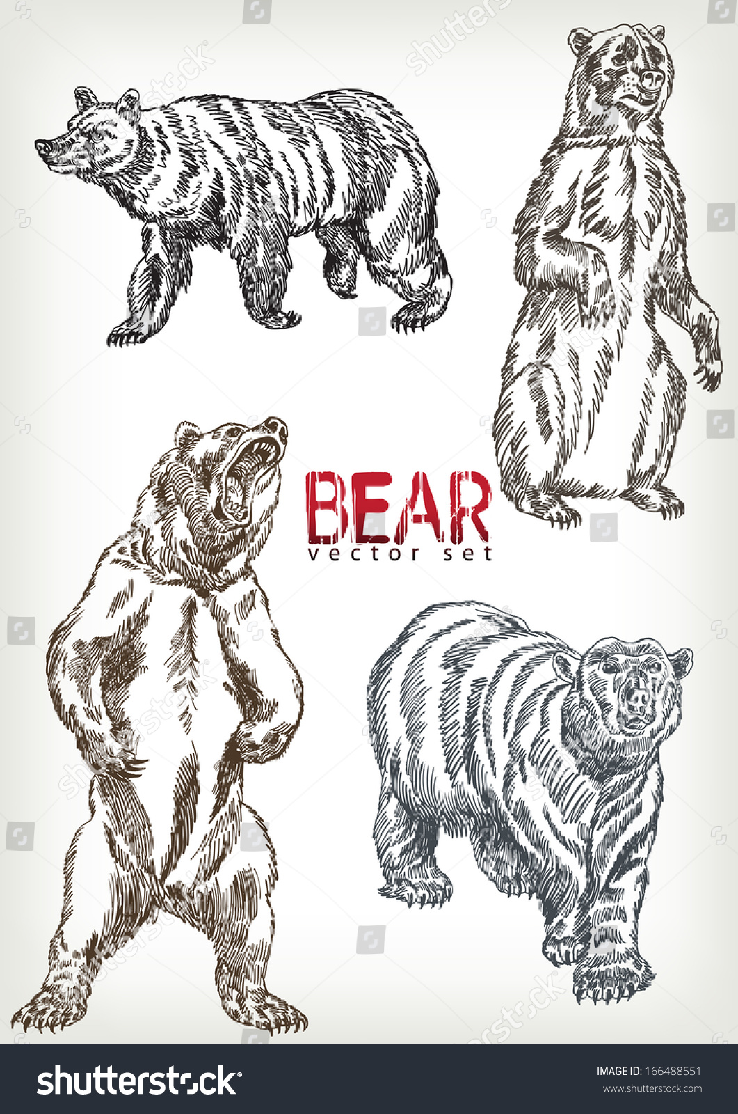 Hand Drawn Bear Vector Set Stock Vector (Royalty Free) 166488551 ...