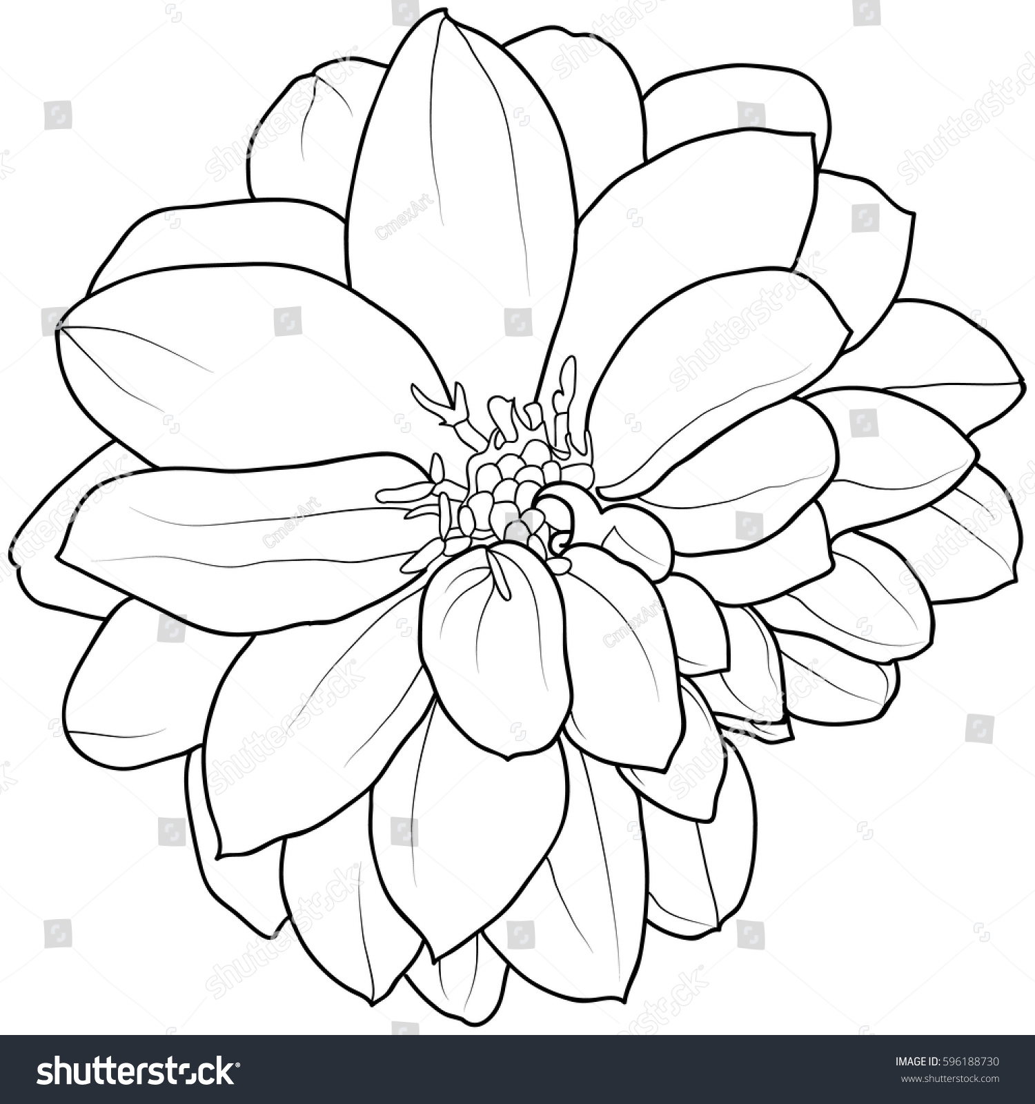 Hand Drawn Black White Flower Outline Stock Vector 596188730 - Shutterstock