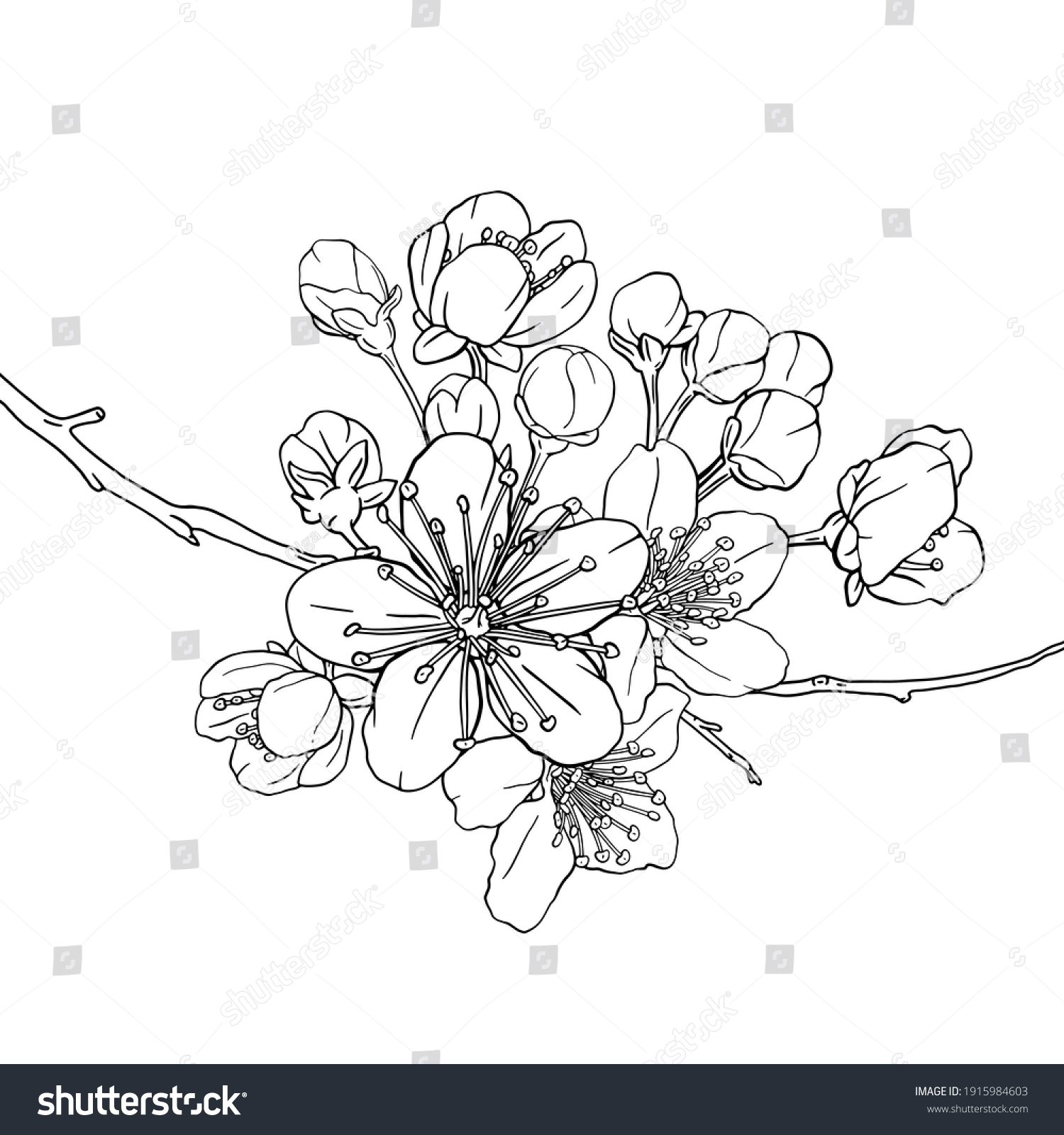 117,469 Apricot blossom Images, Stock Photos & Vectors | Shutterstock