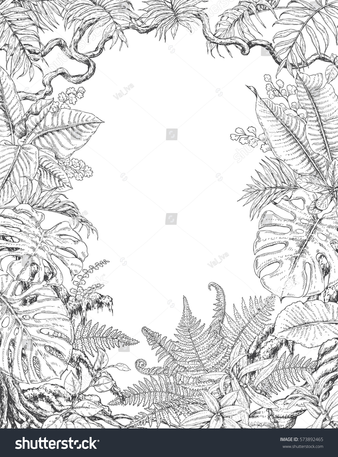 熱帯植物の手描きの枝と葉 白黒の長方形の垂直l花柄のフレーム モンステラ フィクス シダ リアナ ヤシの葉のスケッチ 成人向けの白黒イラストのカラーリングページ のベクター画像素材 ロイヤリティフリー
