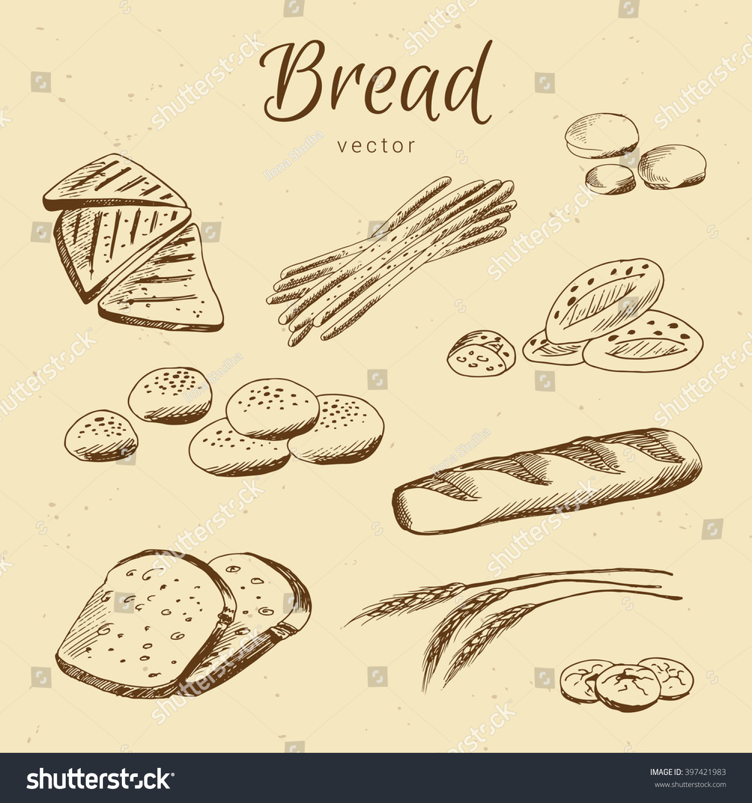 Hand Drawn Bread Buns Toast Breadsticks Stock Vector 397421983