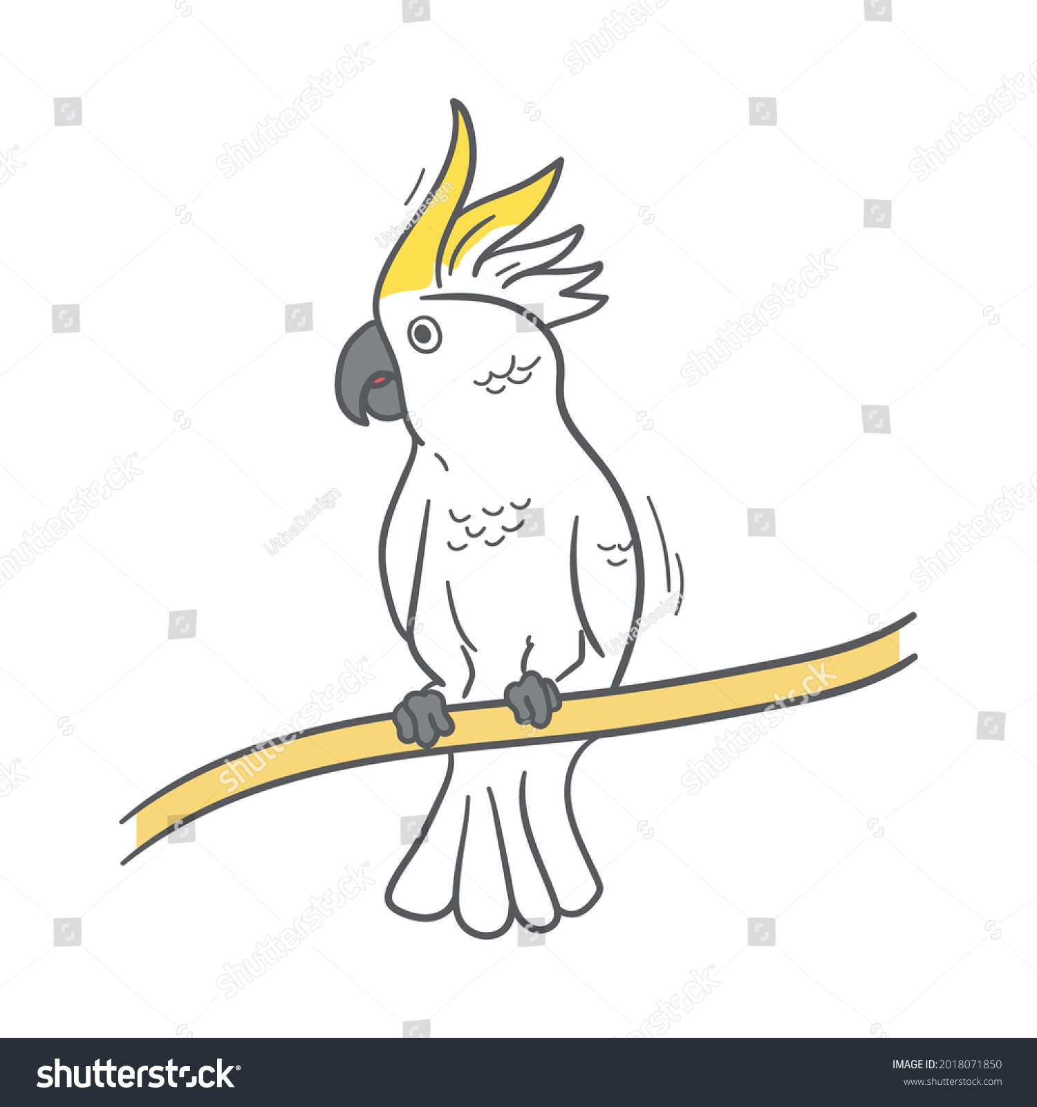 Drawing cockatoo Images, Stock Photos & Vectors | Shutterstock