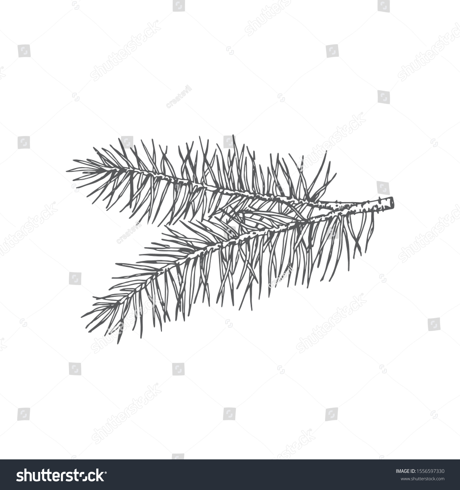 Pine needles drawing Images, Stock Photos & Vectors Shutterstock