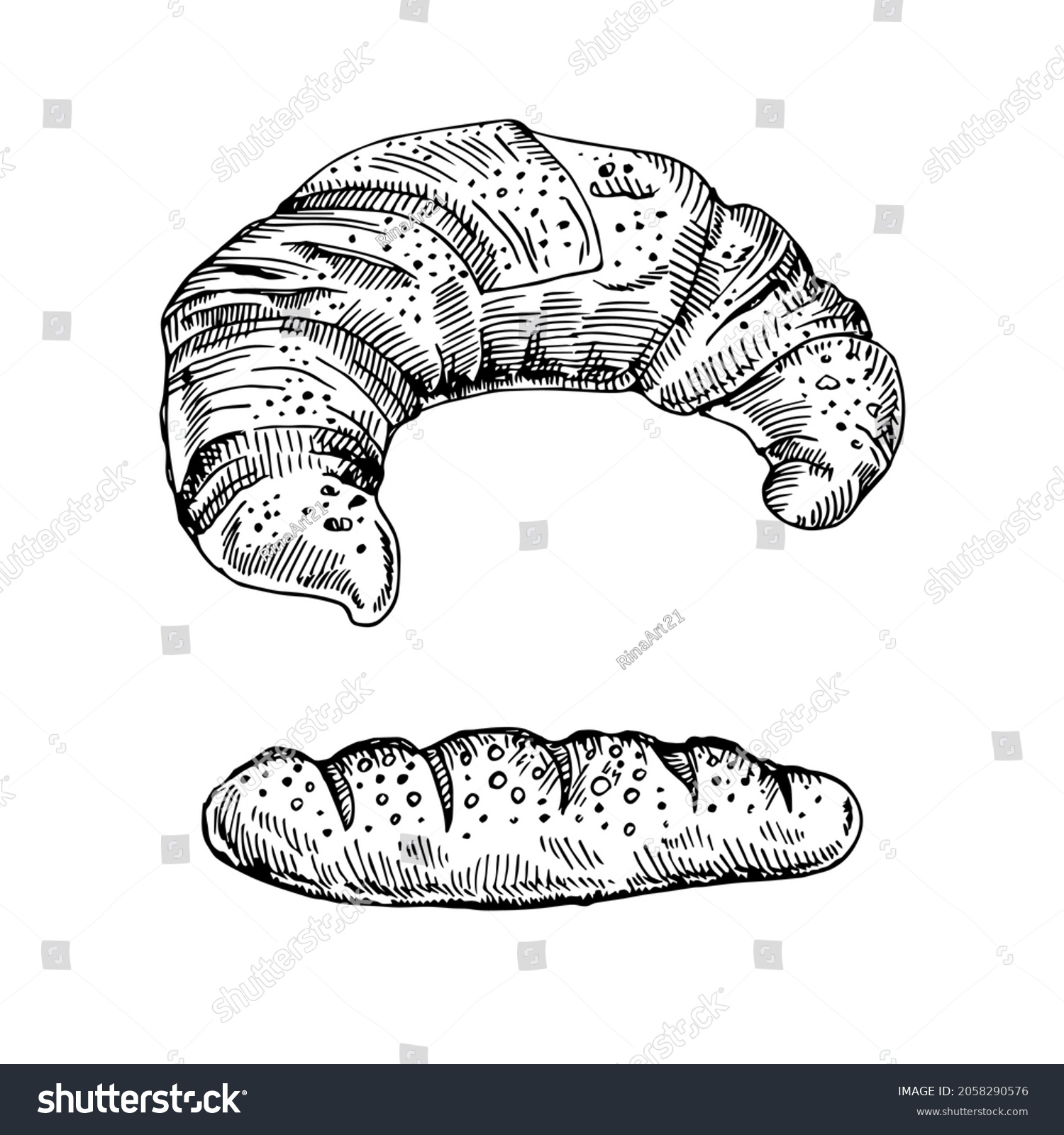 Hand Drawn Croissant Baguette Doodle Isolated Stock Vector (Royalty ...