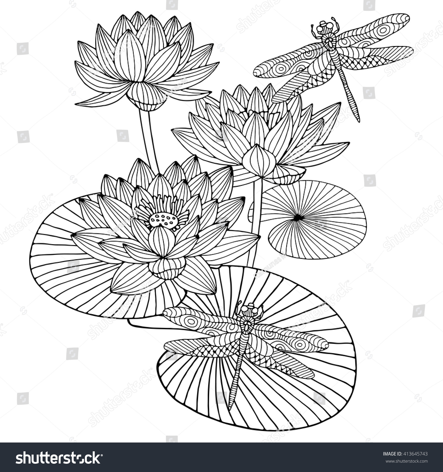 Hand Drawn Doodle Water Lily Dragonfly Stock Vector Royalty Free