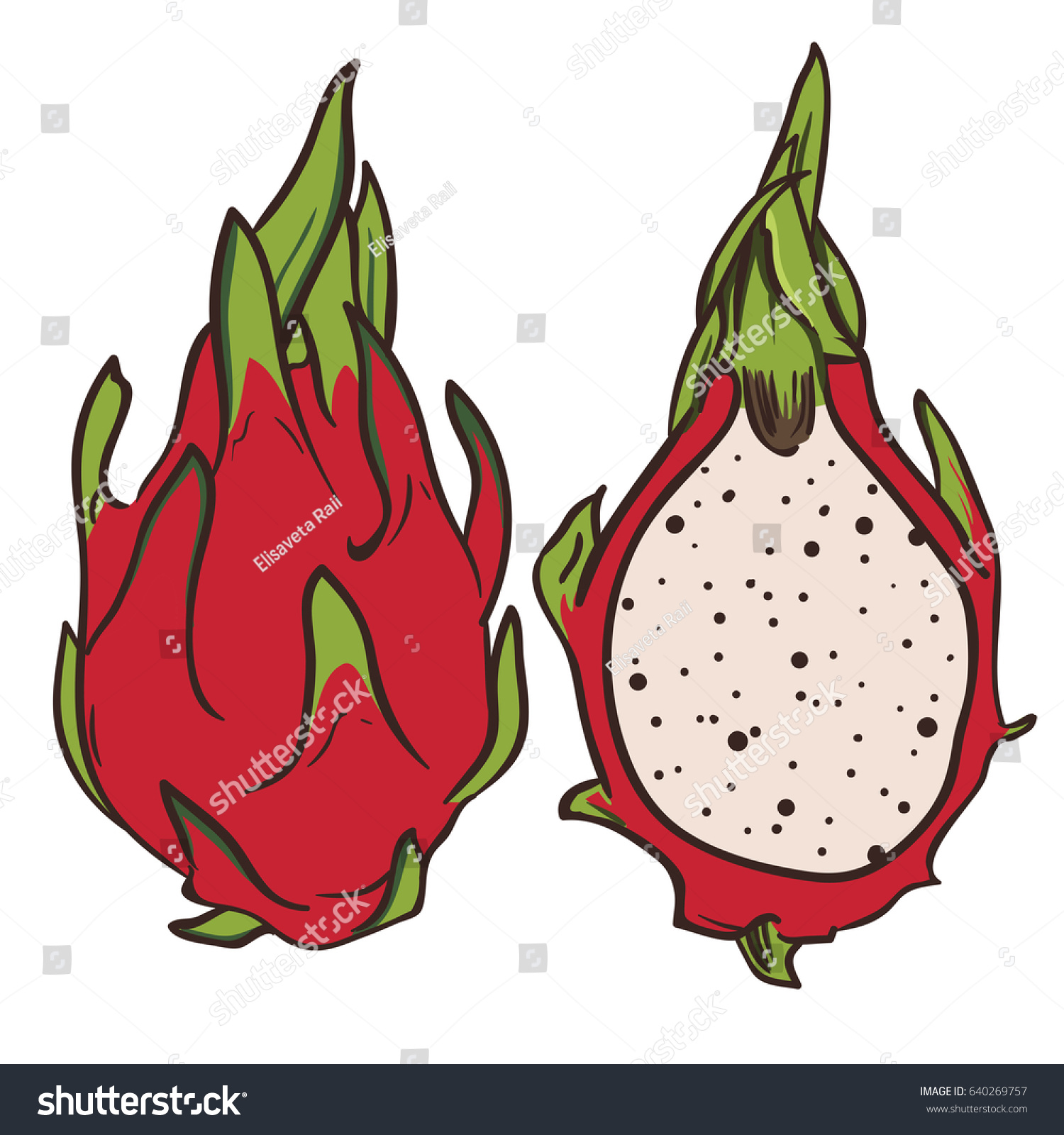 Featured image of post Dragon Fruit Drawing Easy Learn how to draw dragon pictures using these outlines or print just for coloring