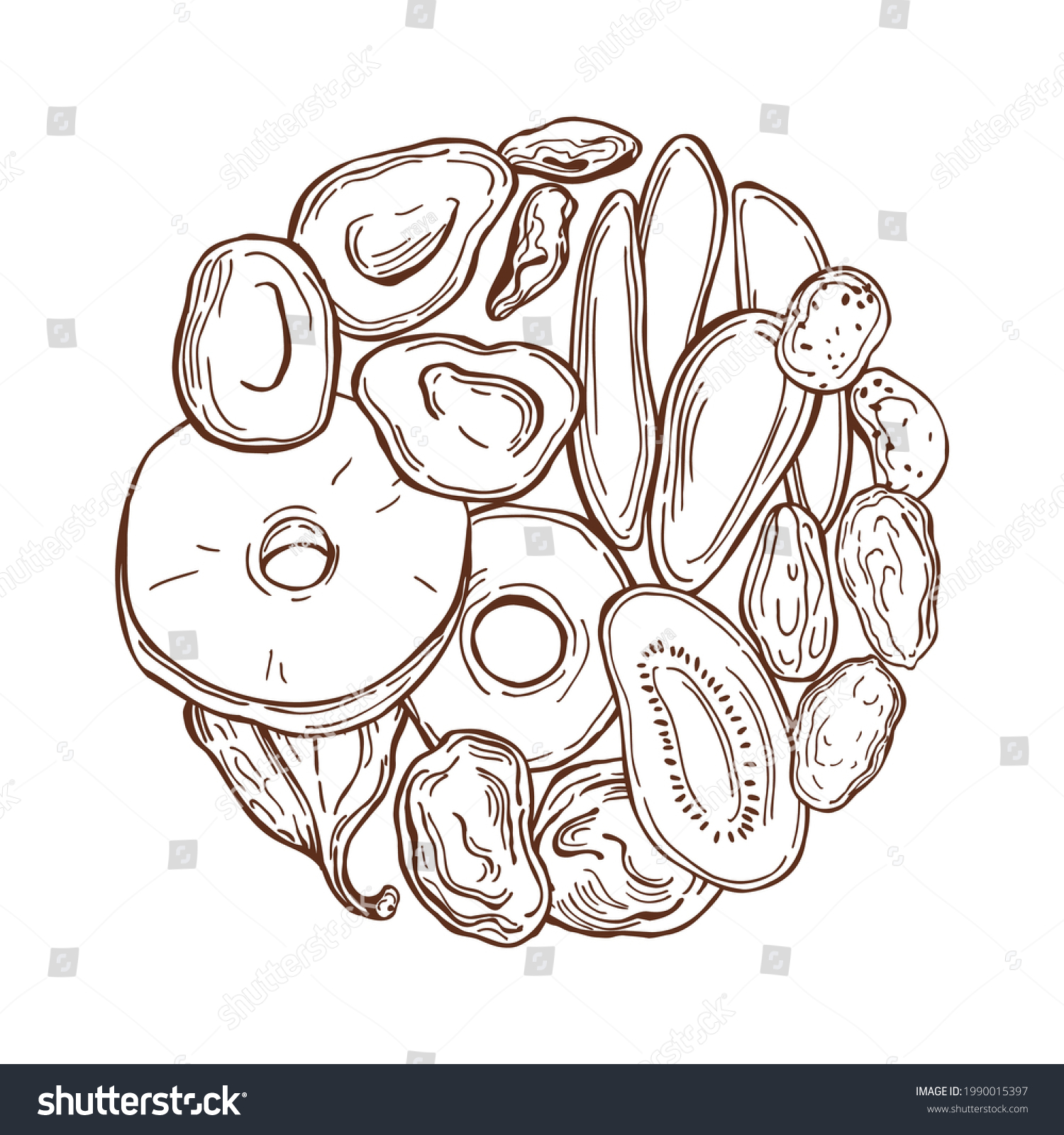 Hand Drawn Dried Fruits Circle On Stock Vector (Royalty Free ...