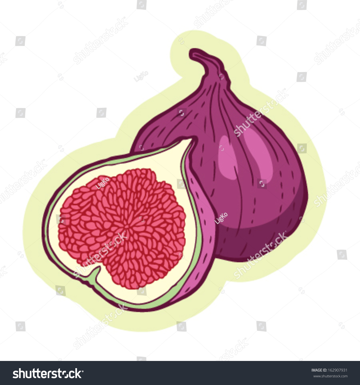 Hand Drawn Figs Cartoon Vector Vector De Stock Libre De Regalías