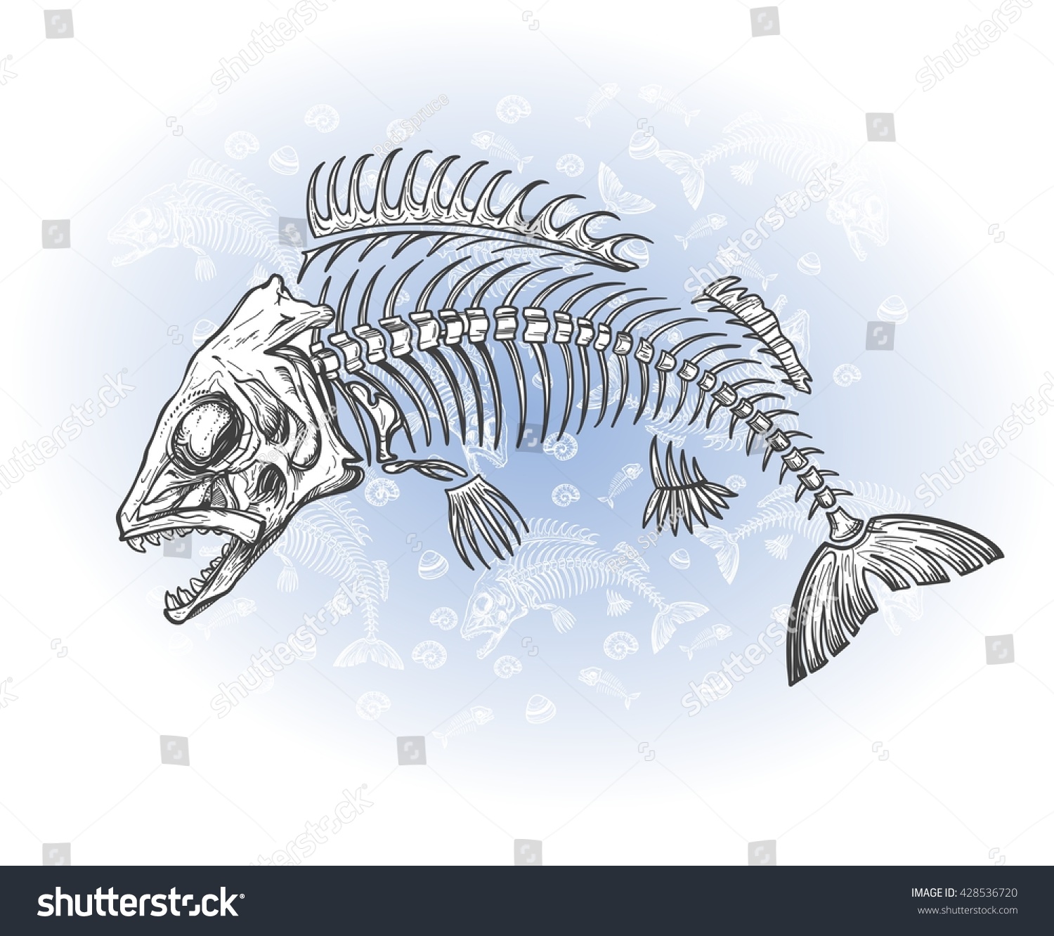 Hand Drawn Fish Skeleton Fossil Vector Stock Vector (Royalty Free ...