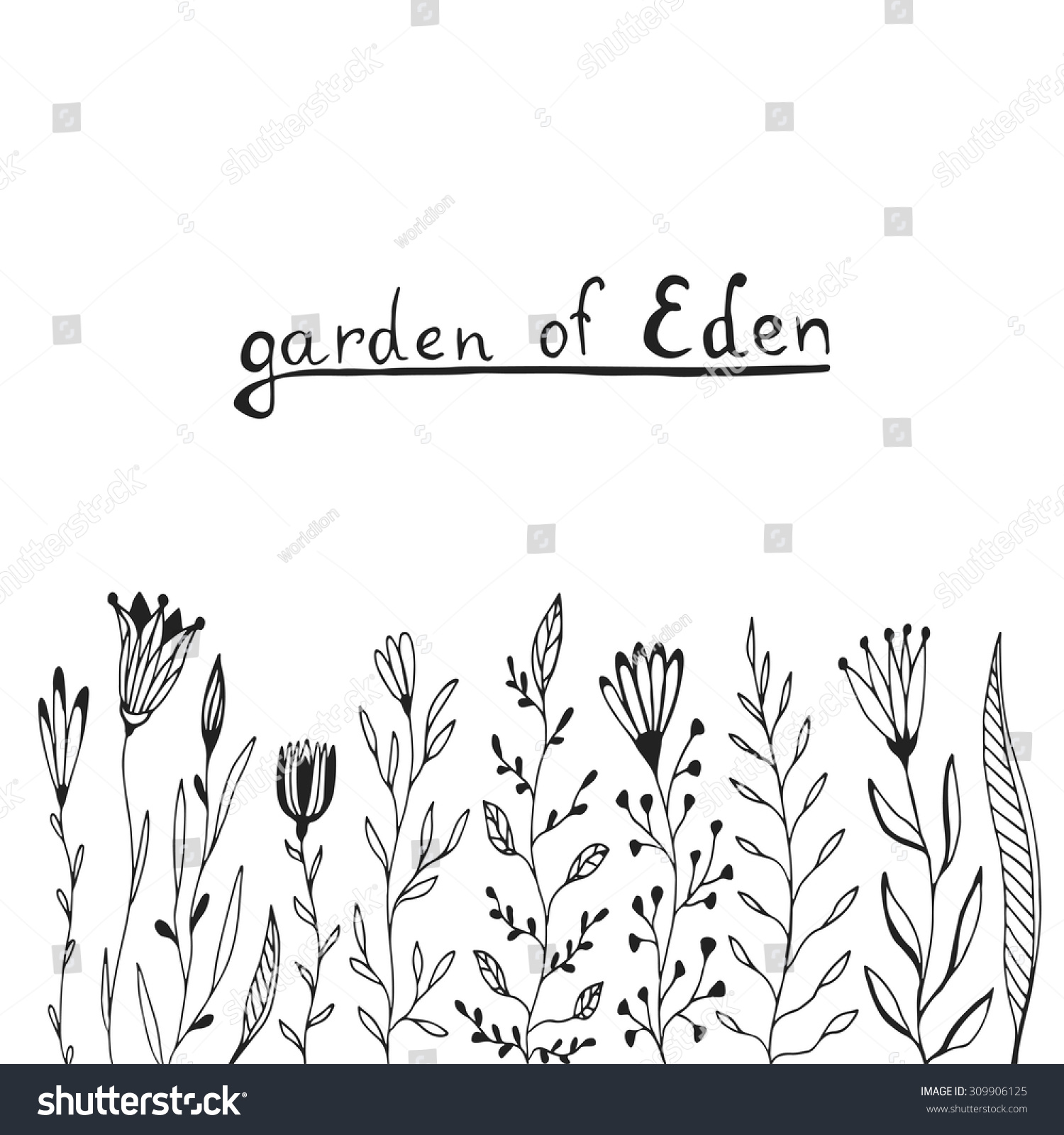 Suchen Sie Nach Hand Drawn Flower Border Vector Set Stockbildern In Hd Und Millionen Weiteren Lizenzfreien Stockfotos Illustrationen Und Vektorgrafiken In Der Shutterstock Kollektion Jeden Tag Werden Tausende Neue Hochwertige Bilder Hinzugefugt