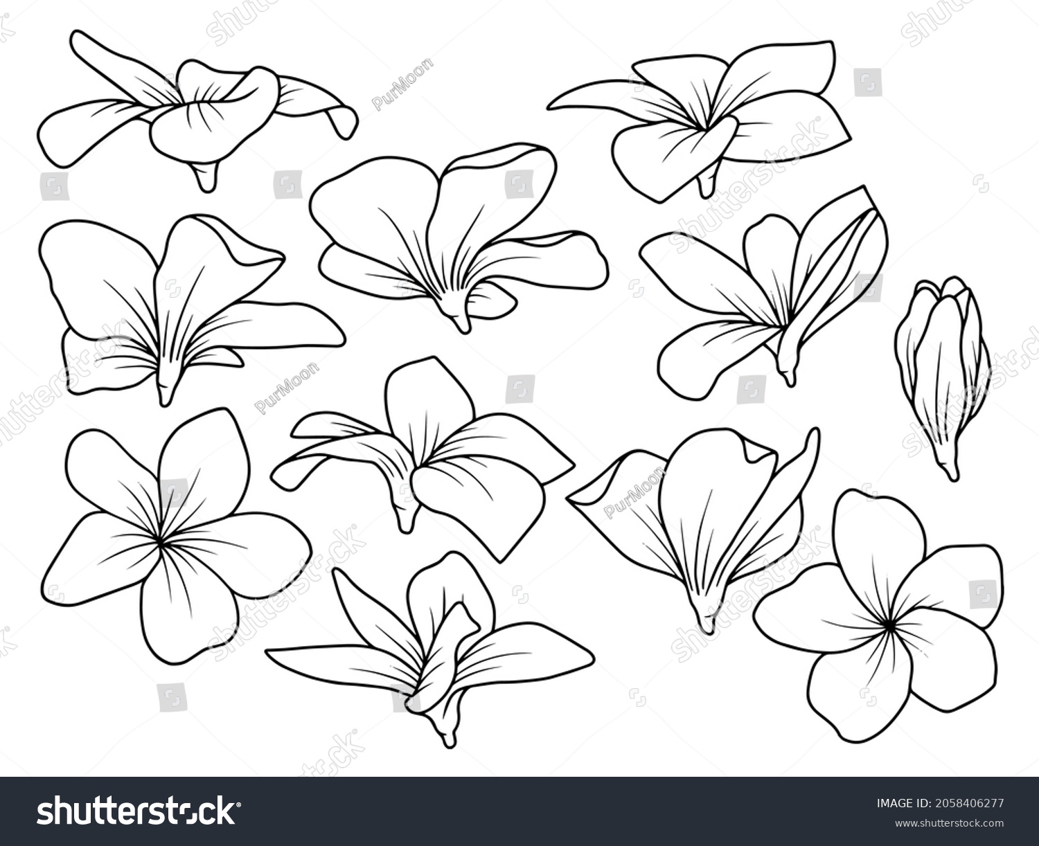 SVG of Hand drawn flower sketch line art illustration set. svg