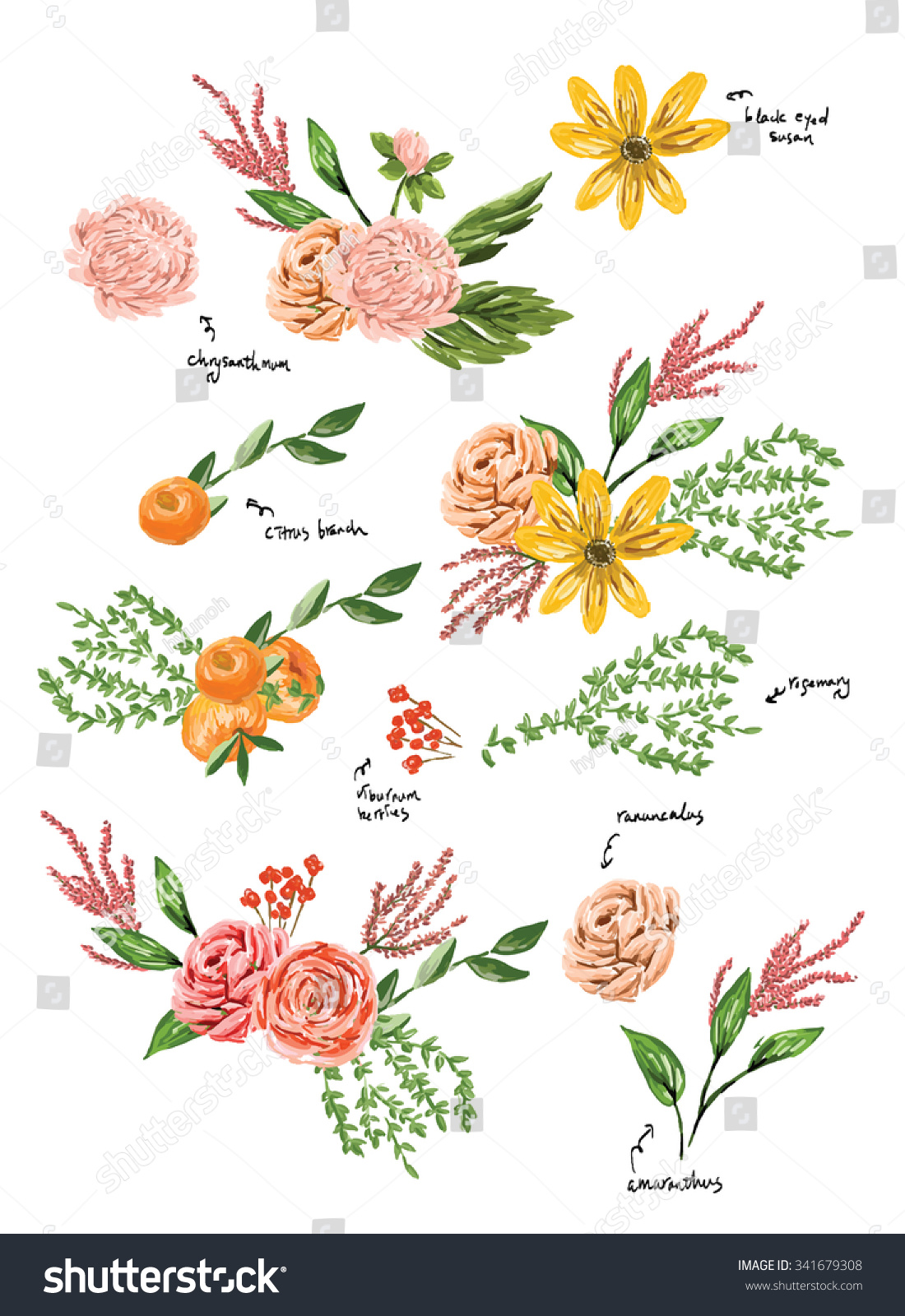 Hand Drawn Flowers Stock Vector Illustration 341679308 : Shutterstock