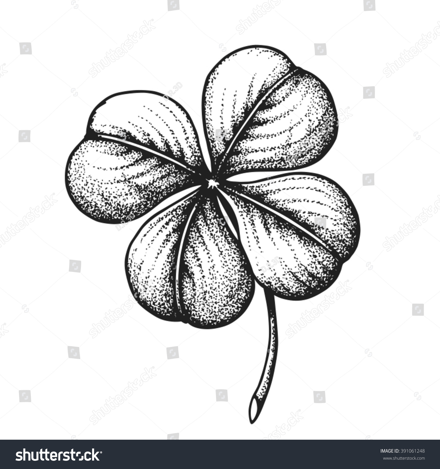 Hand Drawn Four Leaf Clover Saint Stock Vector Royalty Free