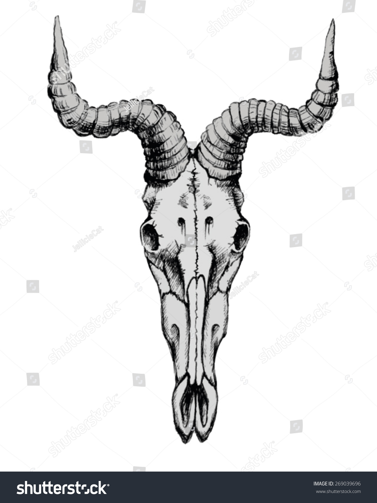 Hand Drawn Goat Skull Stock Vector 269039696 - Shutterstock