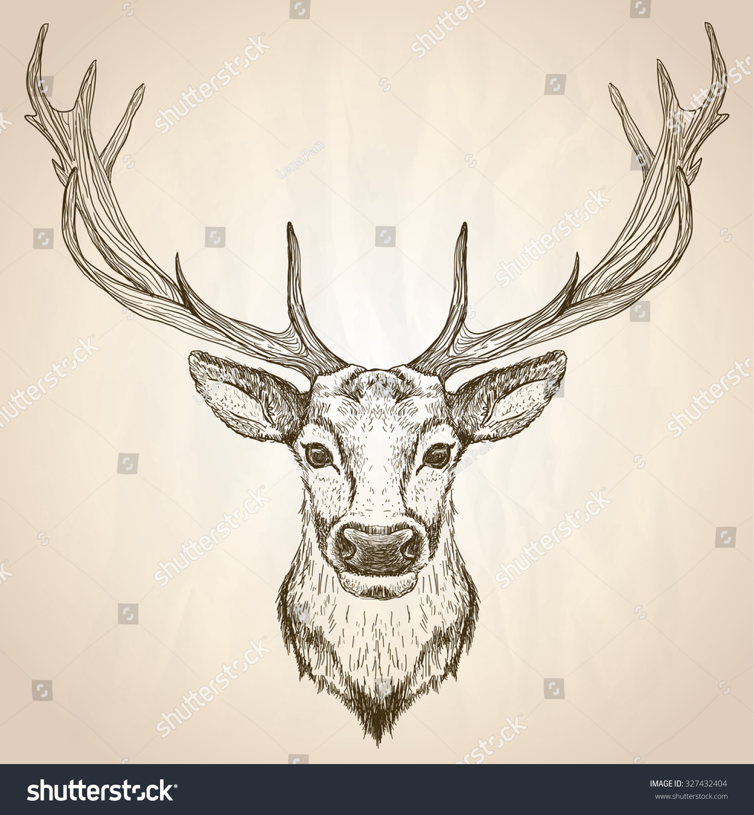 大きな枝角を持つ鹿の頭の手描きのグラフィックススケッチイラスト 正面図 ベクター野生生物ポスター のベクター画像素材 ロイヤリティフリー