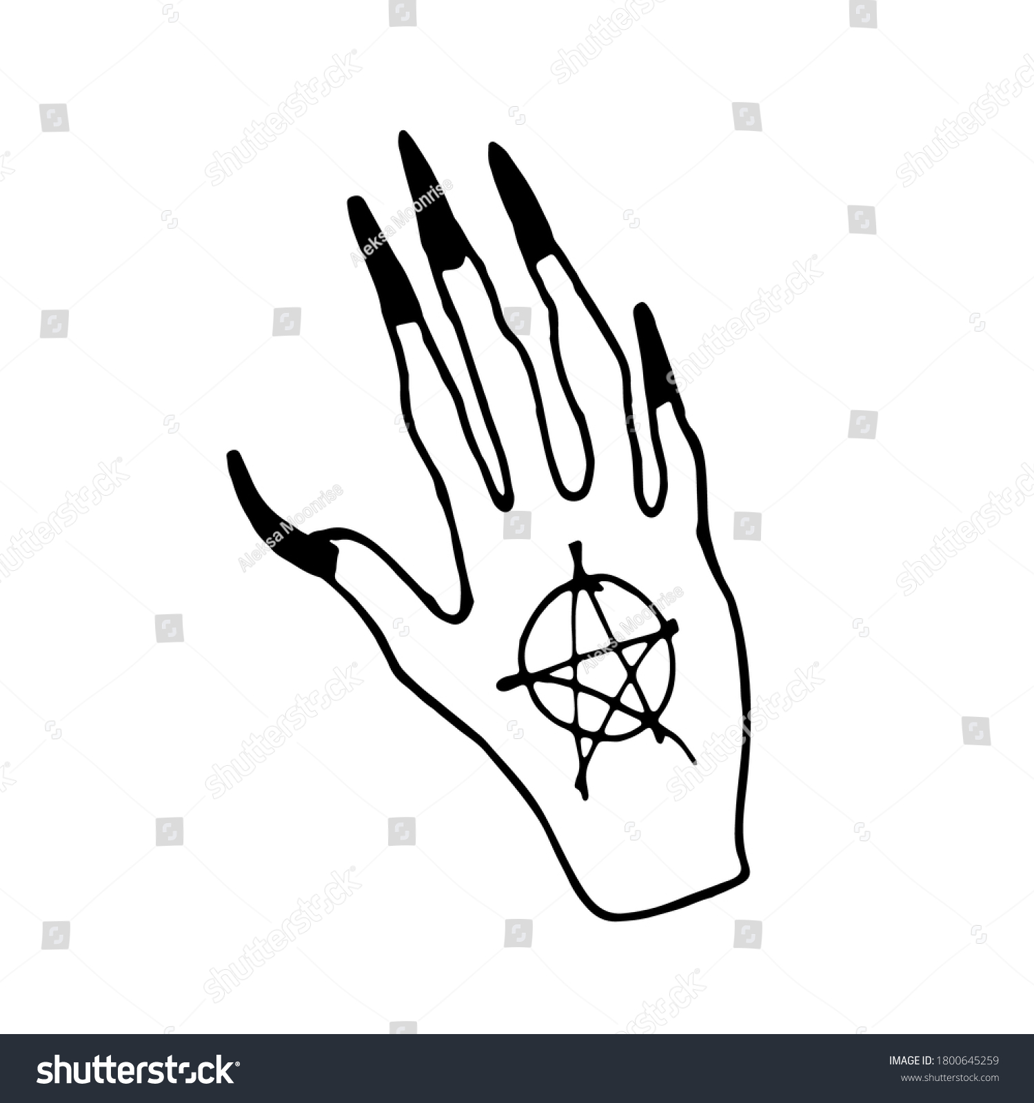 Hand Drawn Hand Witch Witch Hands Stock Vector (Royalty Free) 1800645259