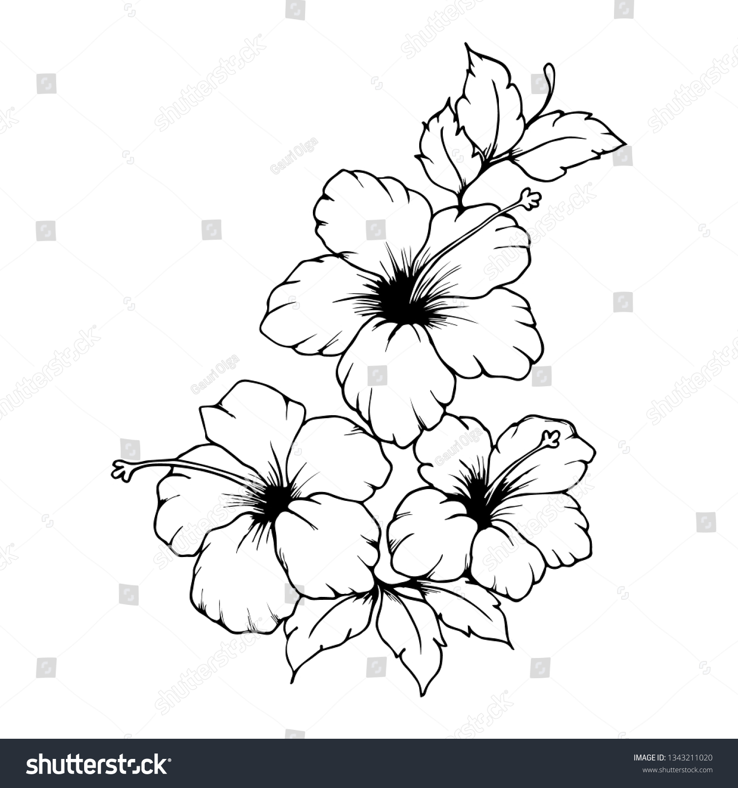 8,373 Black and white hibiscus drawings Stock Illustrations, Images ...