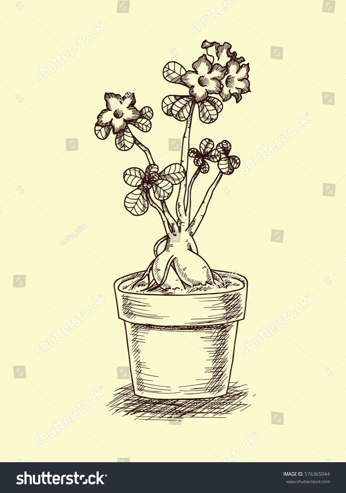 Hand Drawn Illustration Desert Rose Pot Stock Vector Royalty Free 576365044,Capodimonte