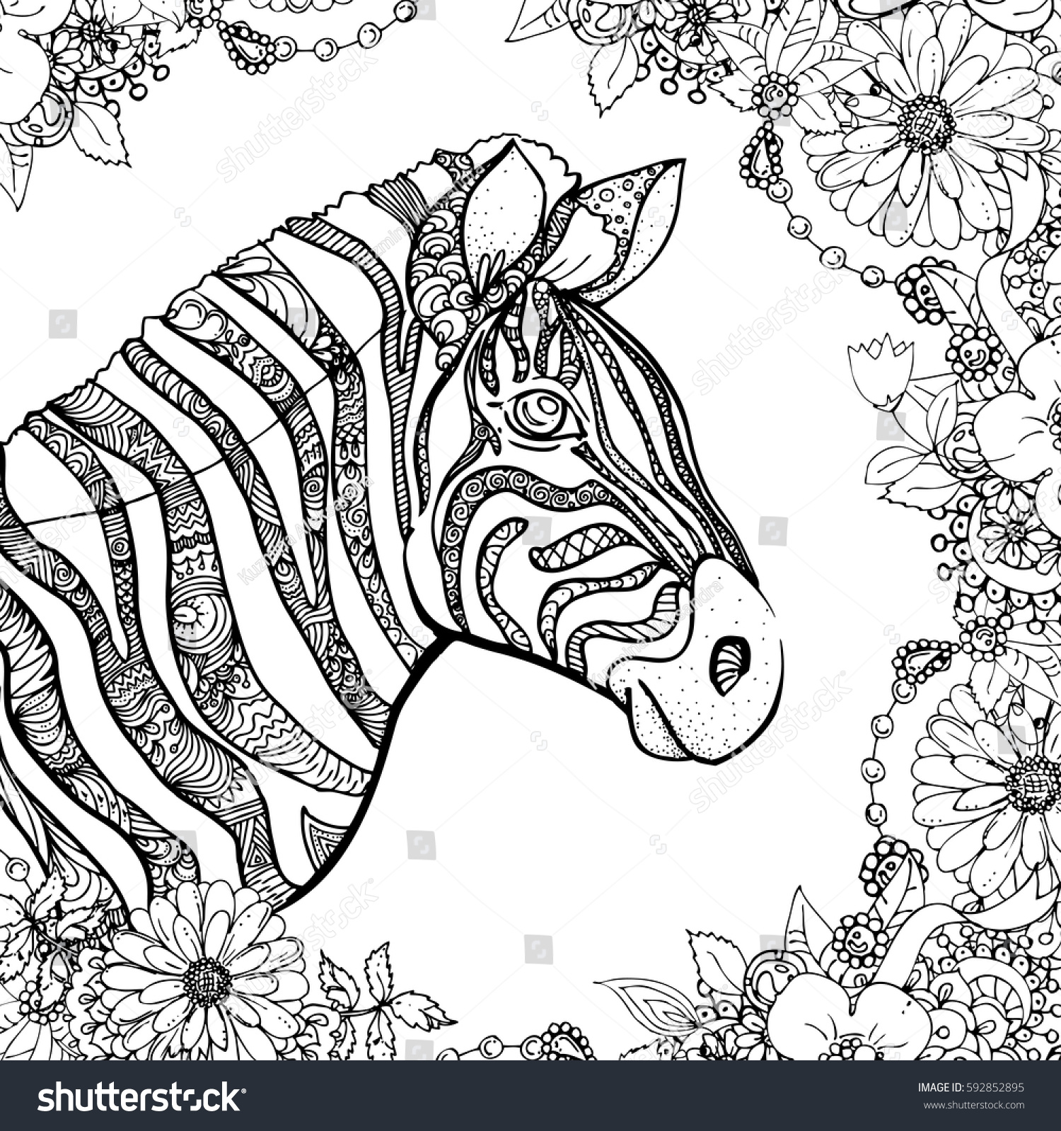 Hand Drawn Ink Doodle Zebra Flowers Stock Vector Royalty Free