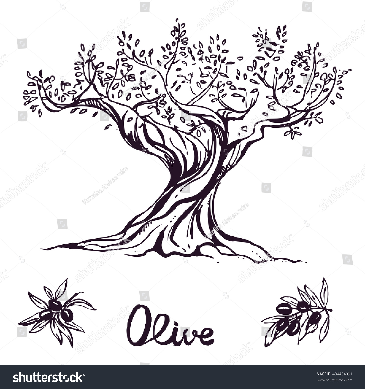 Olive Tree Coloring Page