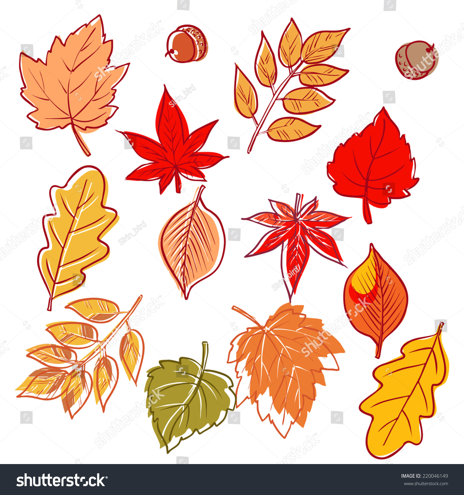 Handdrawn Leaves Doodles Set Isolated Vector Stock Vector Royalty Free