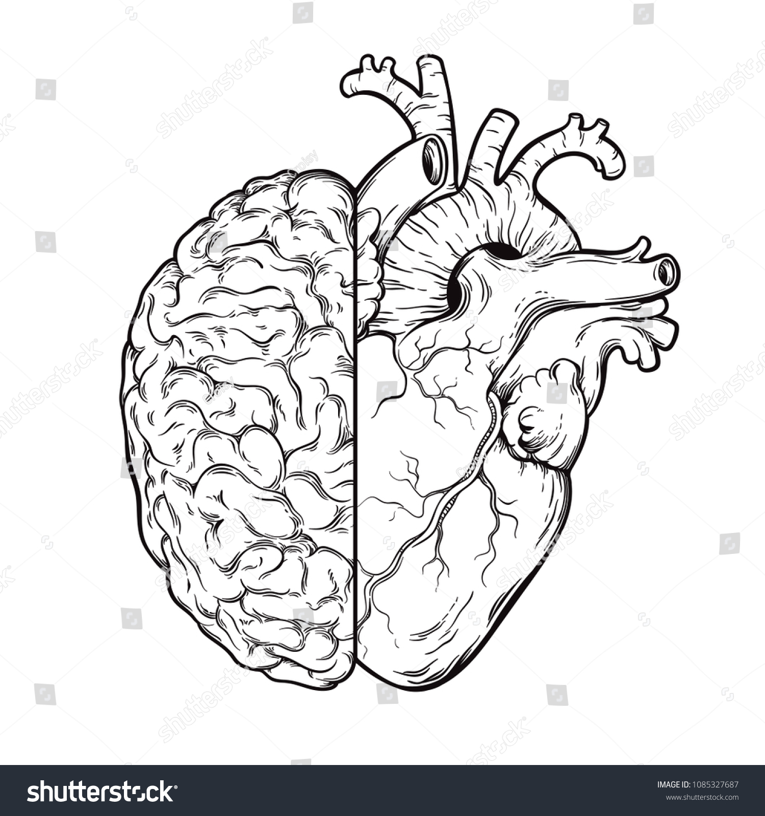 164 Brain And Heart Tattoo Images Stock Photos Vectors Shutterstock 164 Brain And Heart Tattoo Images Stock Photos Vectors Shutterstock