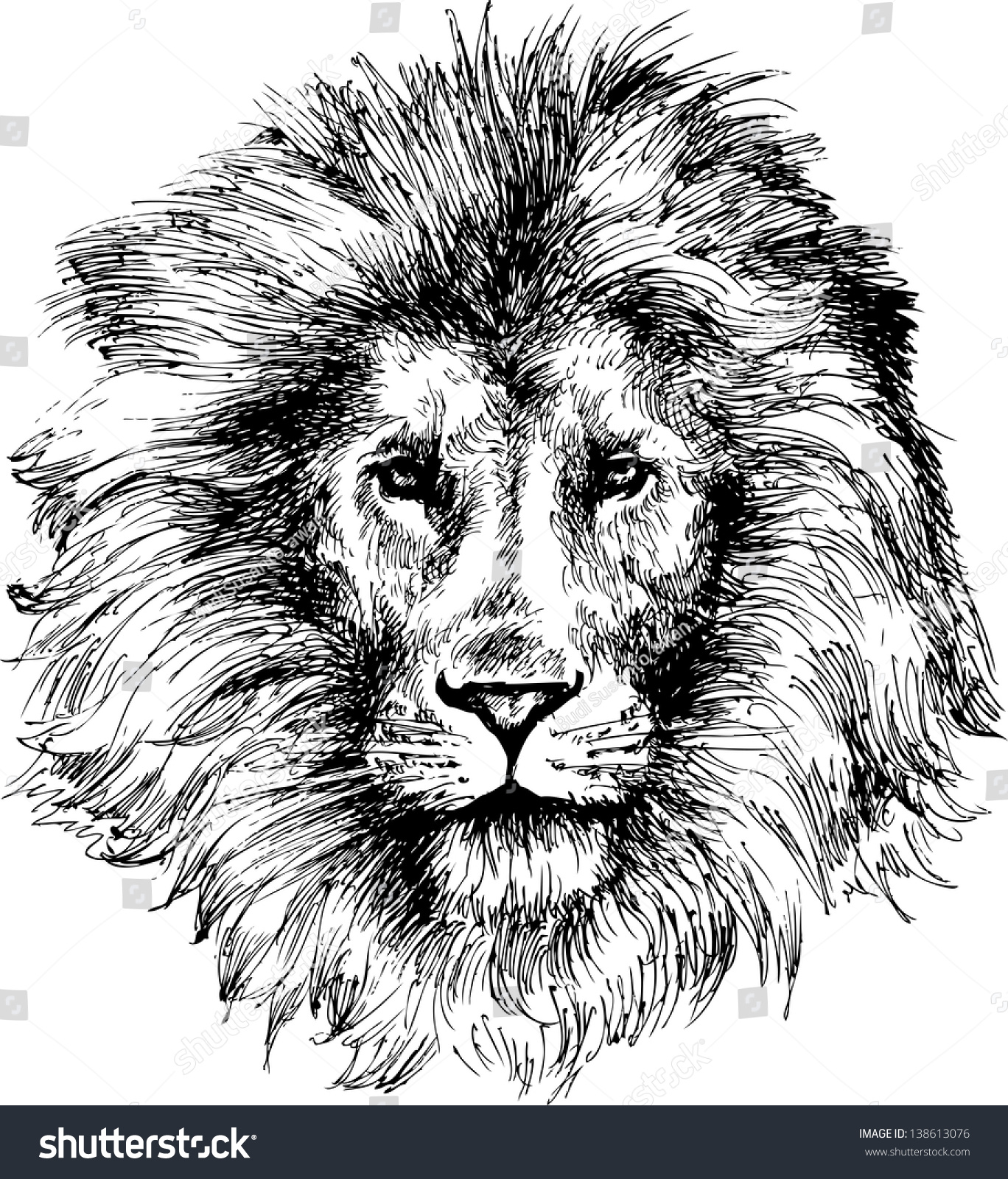 Hand Drawn Lion Head Stock Vector 138613076 - Shutterstock