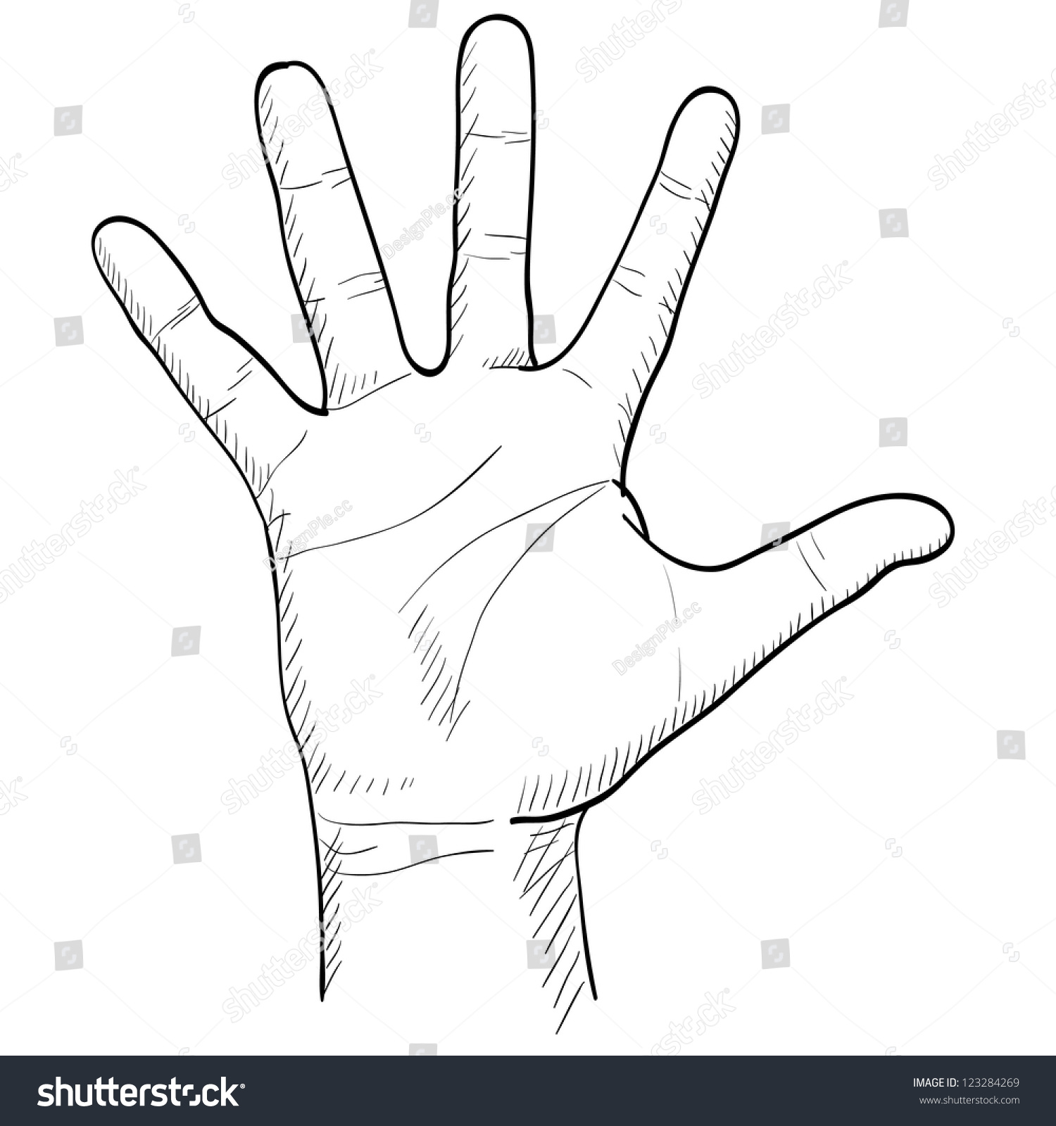 Hand Drawn Men'S Palm Stock Vector Illustration 123284269 : Shutterstock