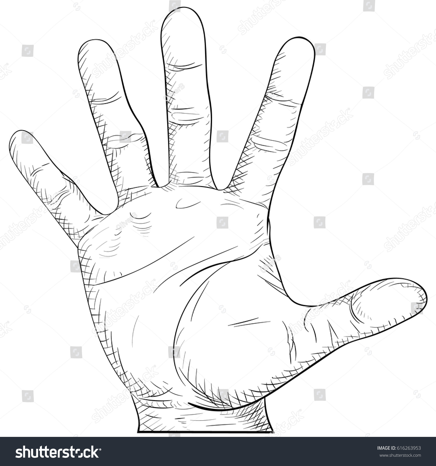 Hand Drawn Mens Palm Vector Stock Vector (Royalty Free) 616263953