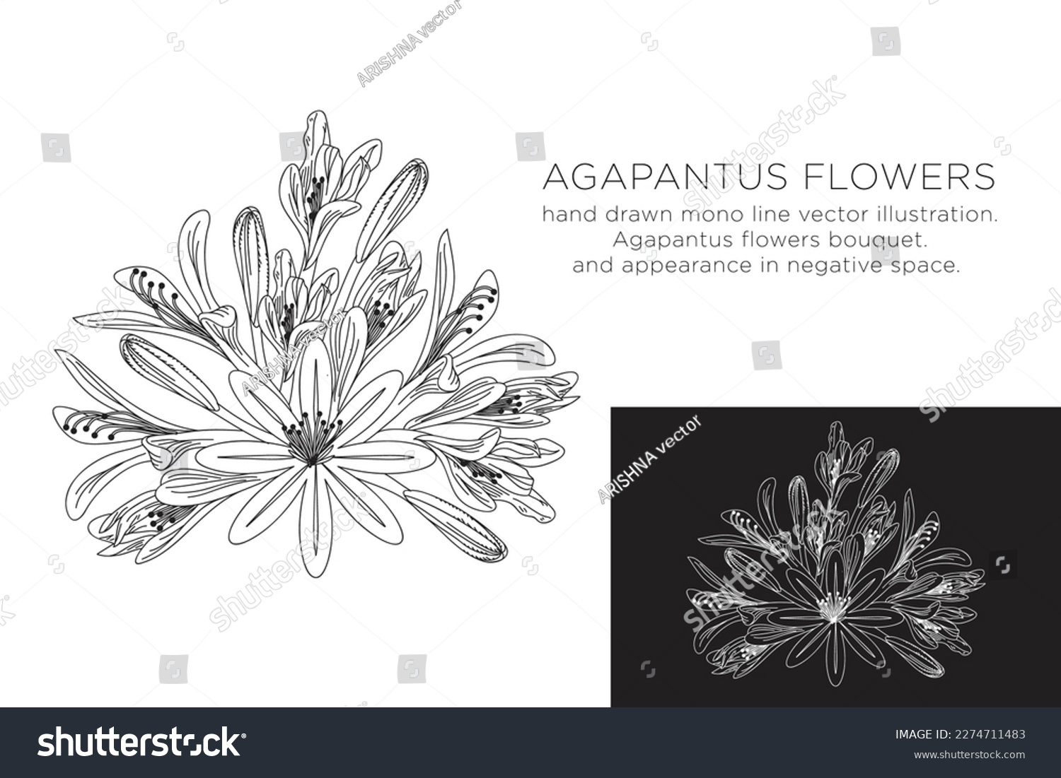 SVG of hand drawn monoline vector illustration.
argapantus flowers.
with appearance in negative space. svg